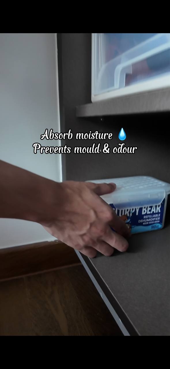 Slurpy Bear Refillable Dehumidifier and Formaldehyde removal!