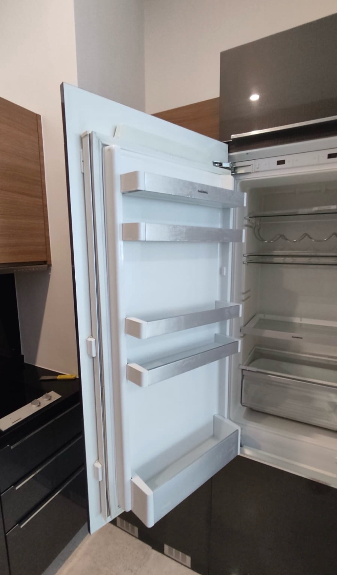 To go for a built in refrigerator or not?