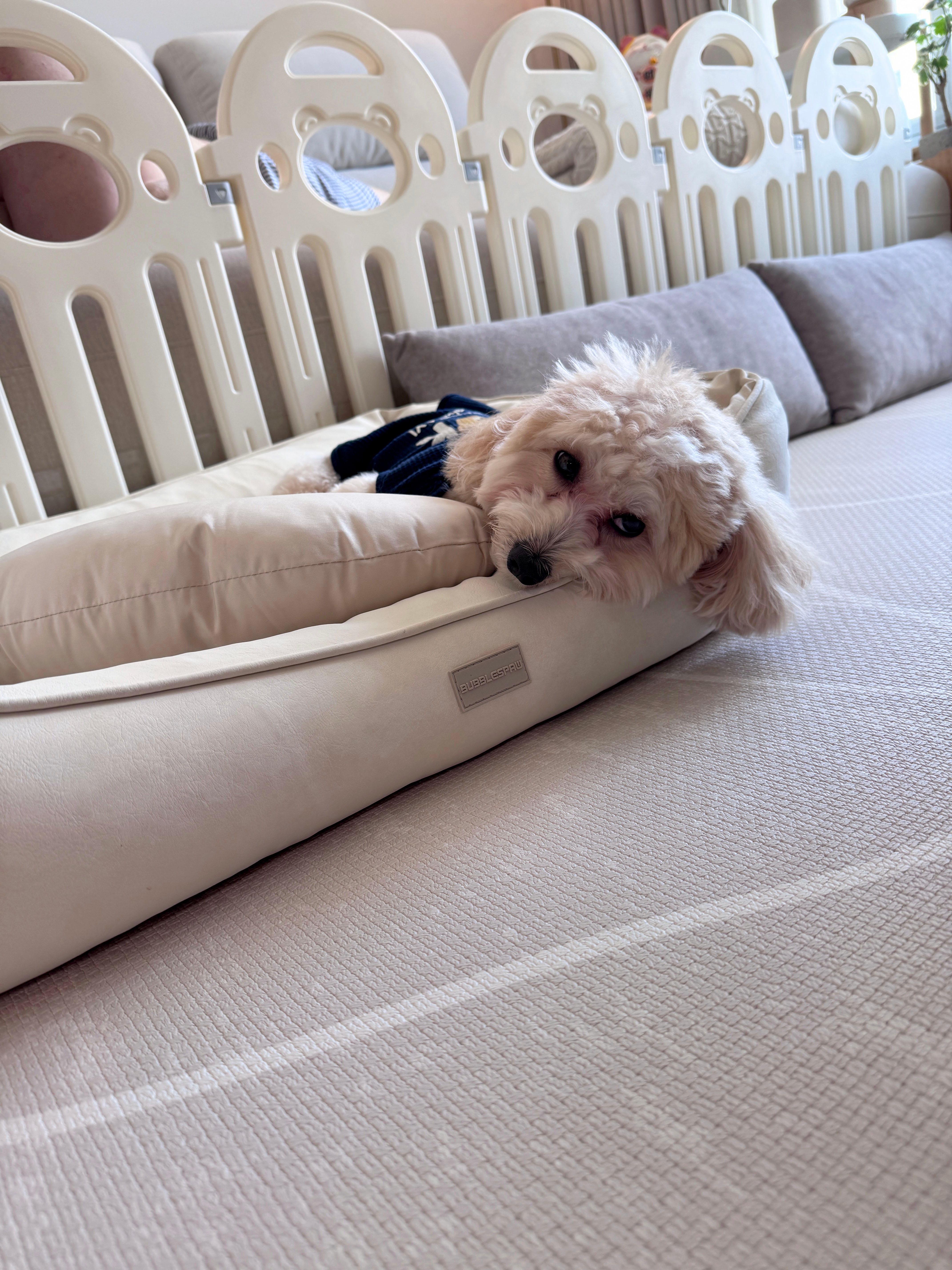 Preventing-My-Pup-from-Jumping-on-Furniture-🐶