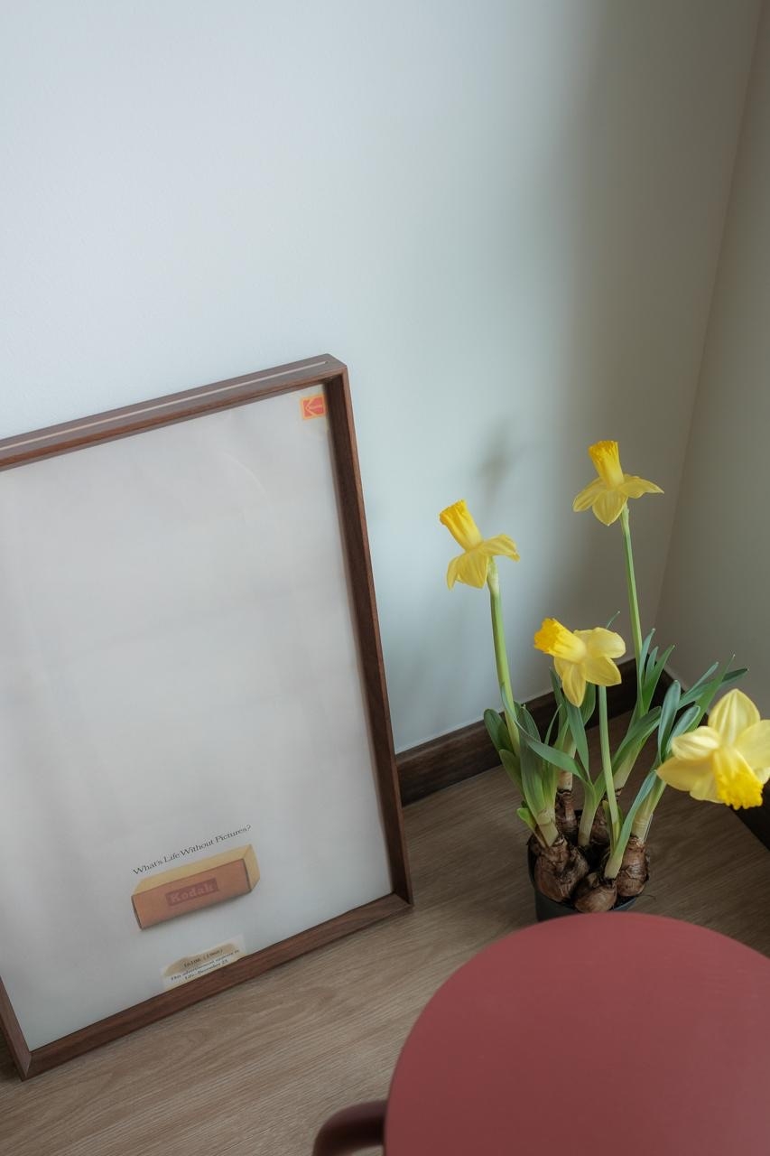 My-unexpected-flower-display-spot…-