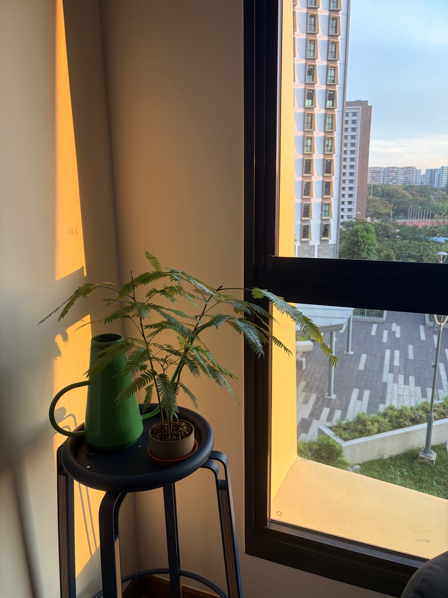 My unexpected flower display spot…