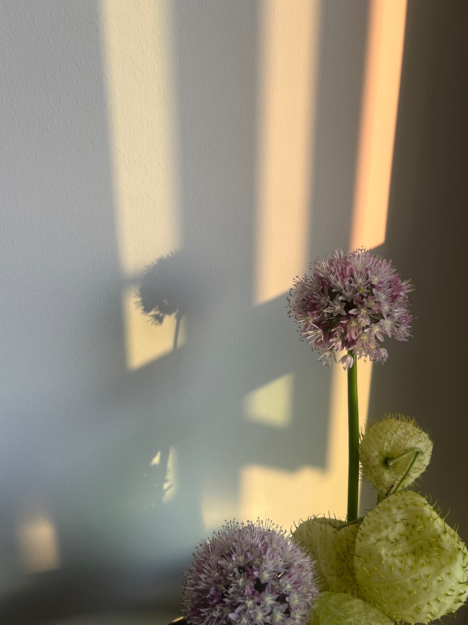 My unexpected flower display spot…