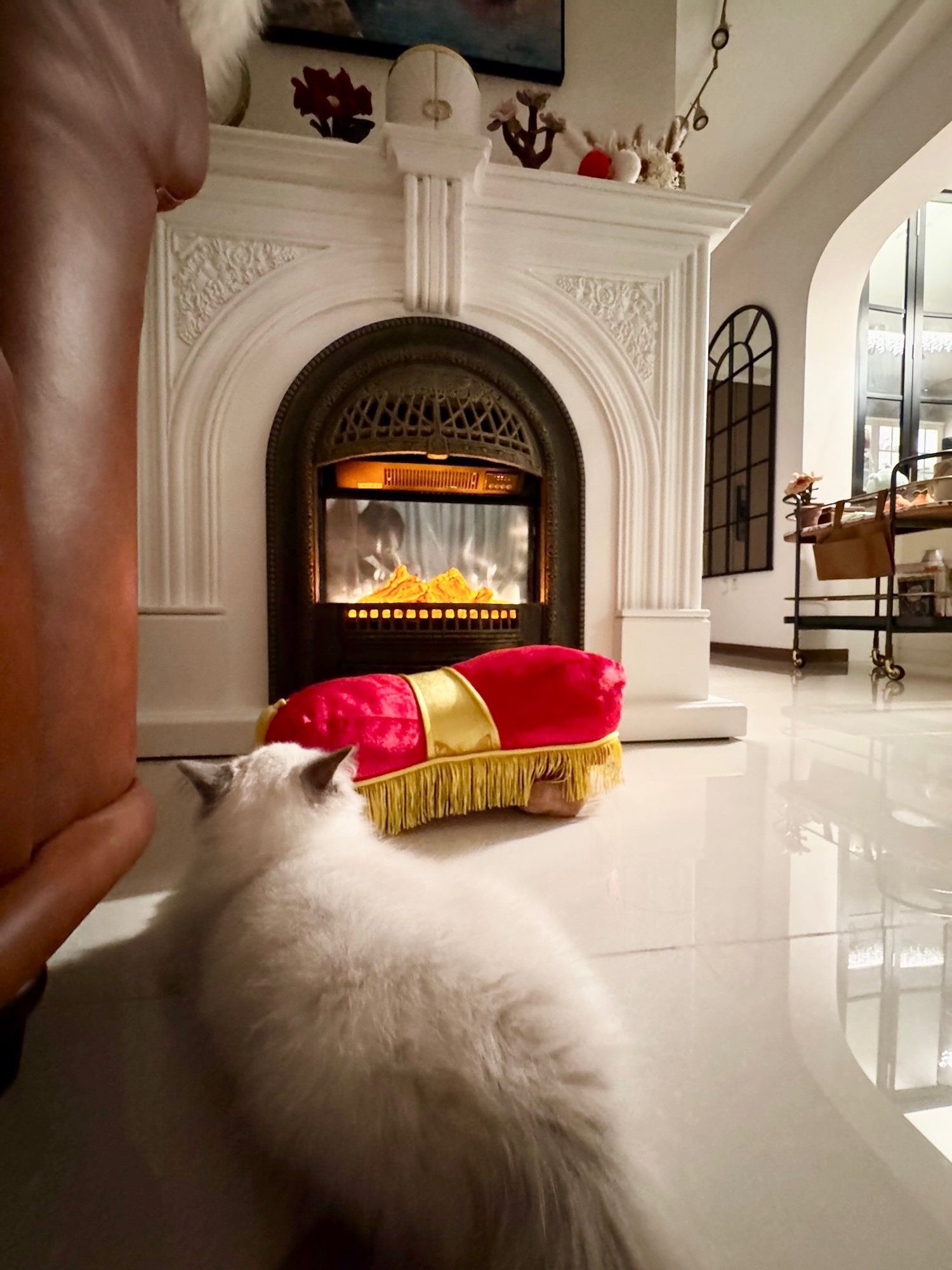 POV:-Your-friends-visit-and-instantly-ask-for-a-pic-at-your-fireplace