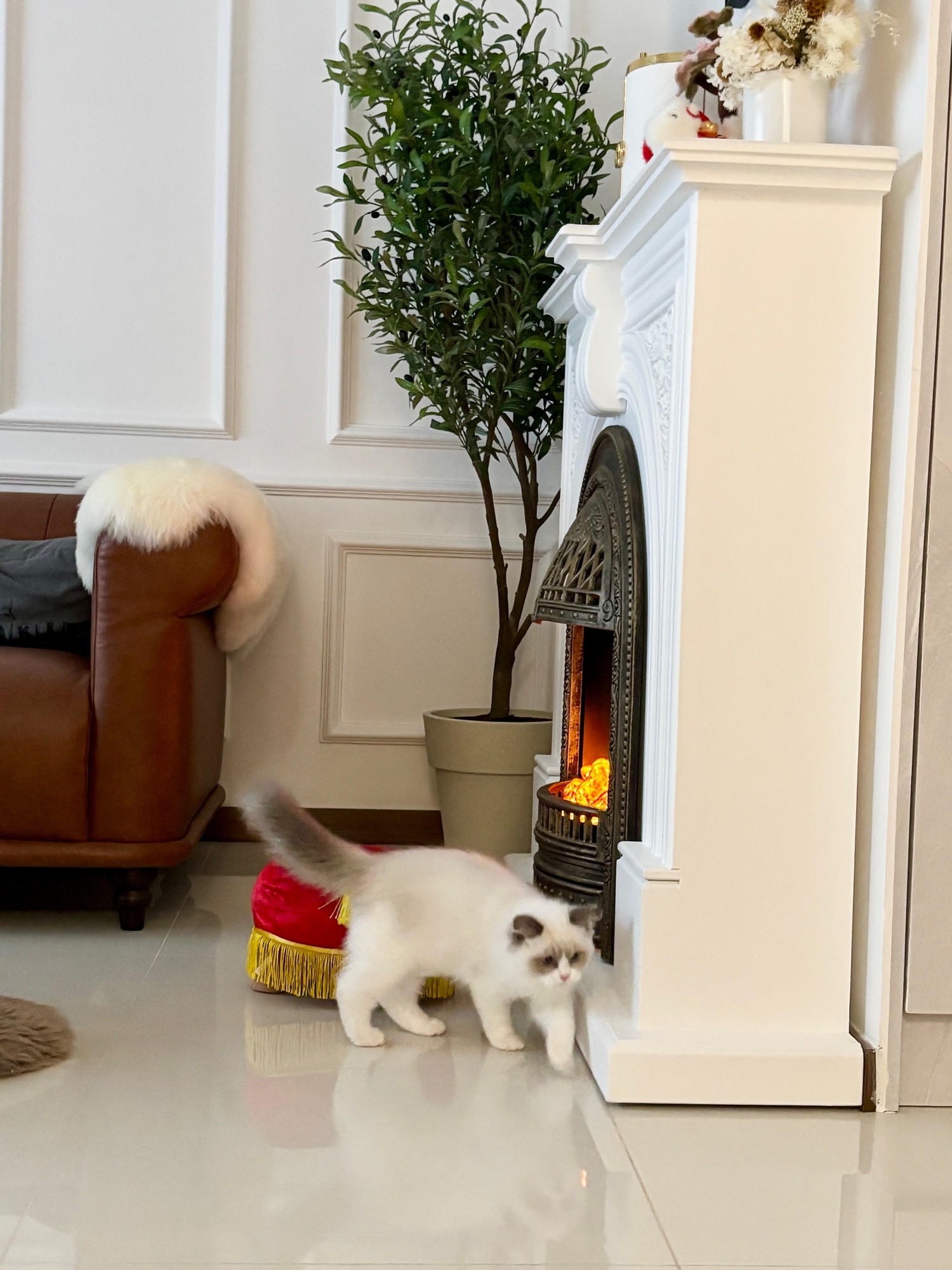 POV: Your friends visit and instantly ask for a pic at your fireplace