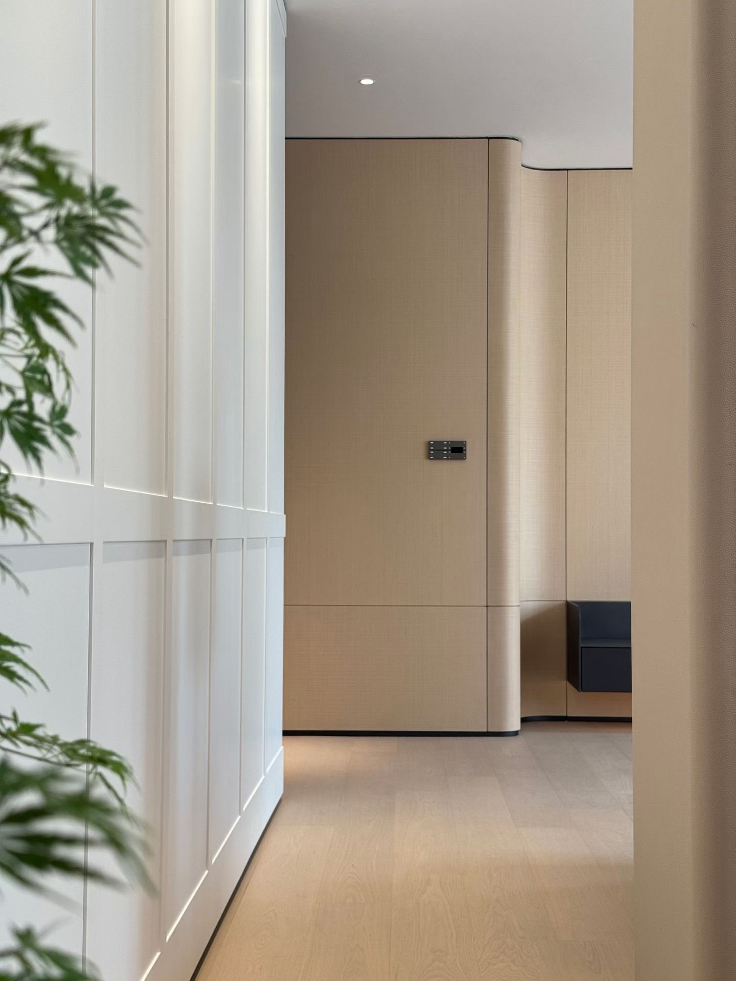 Ultra sleek carpentry design