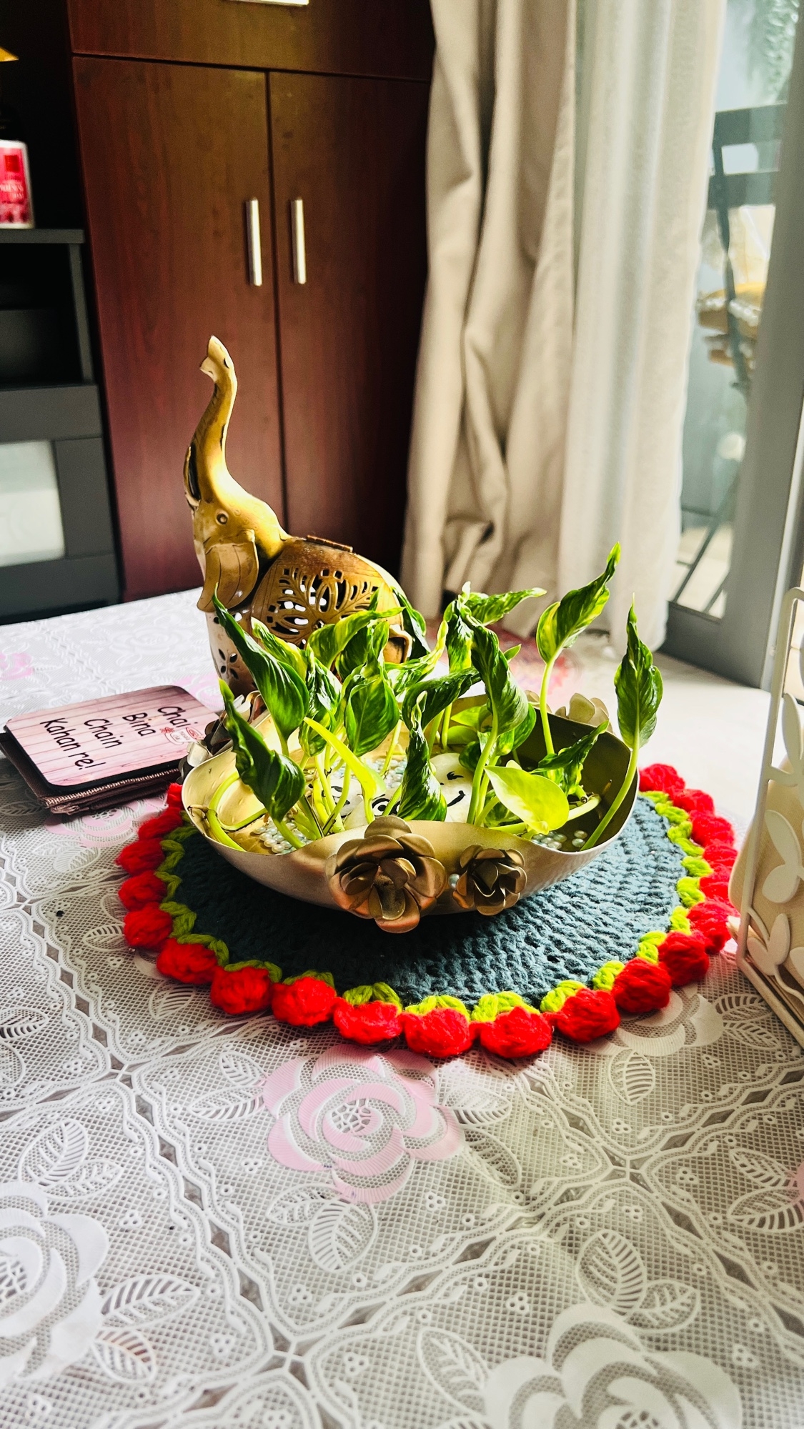 Make your home bloom ❤️