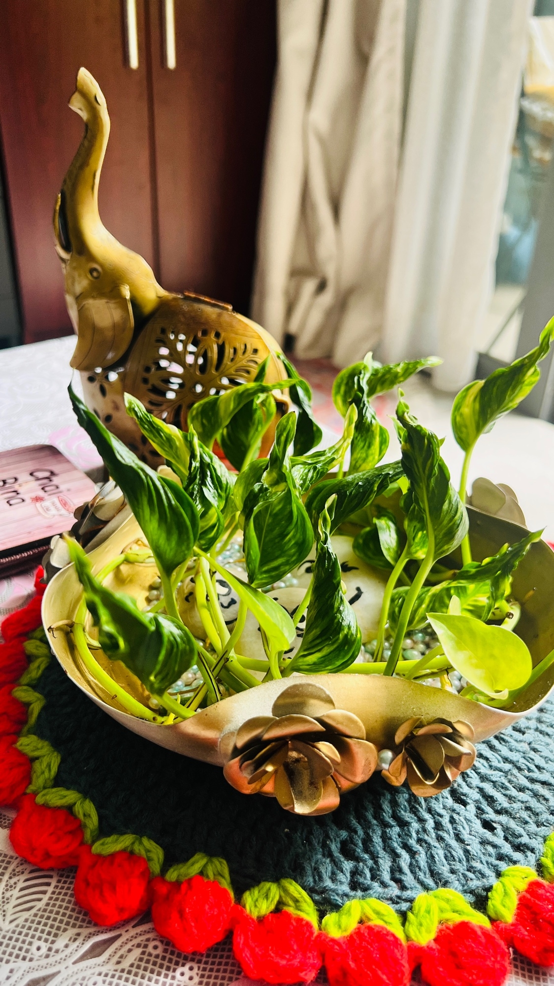Make your home bloom ❤️
