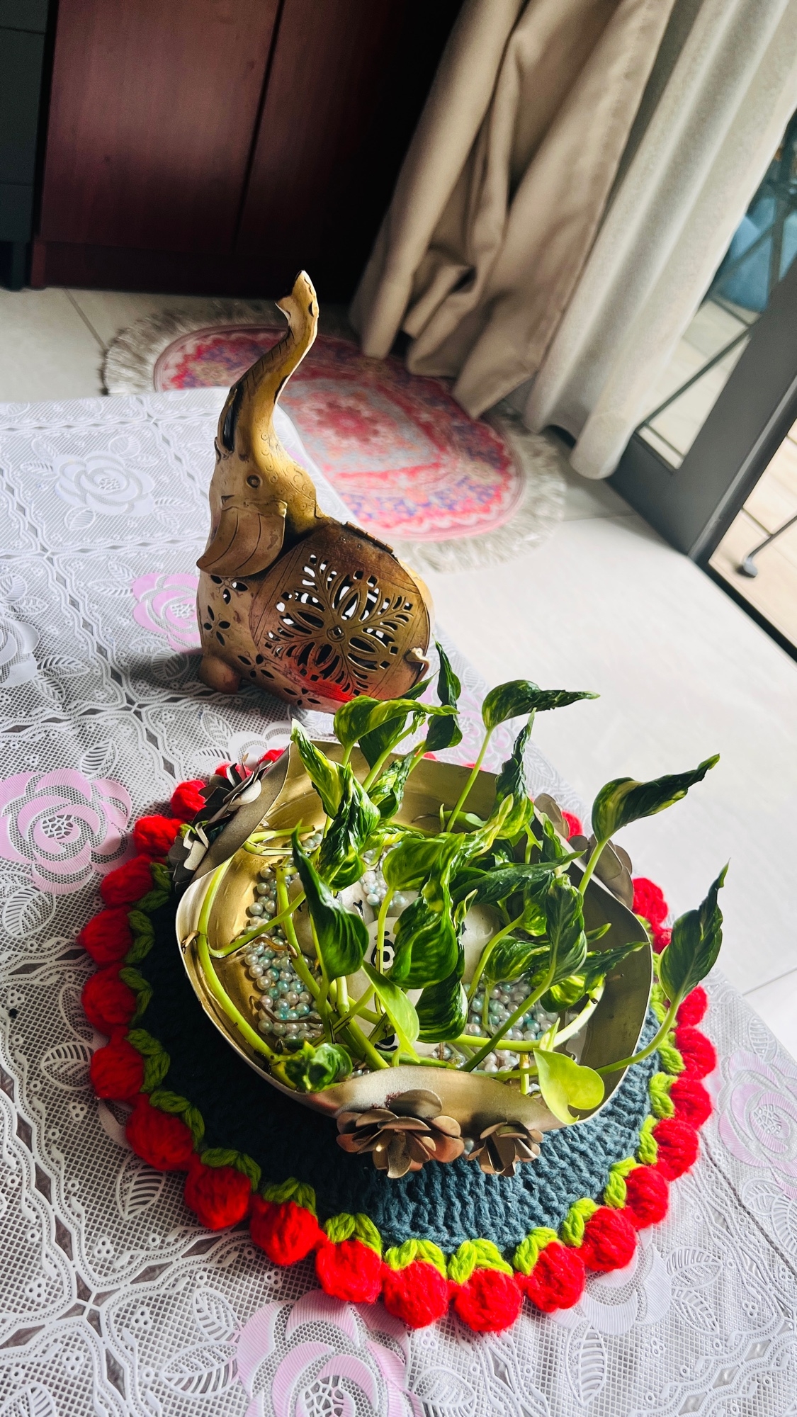 Make your home bloom ❤️