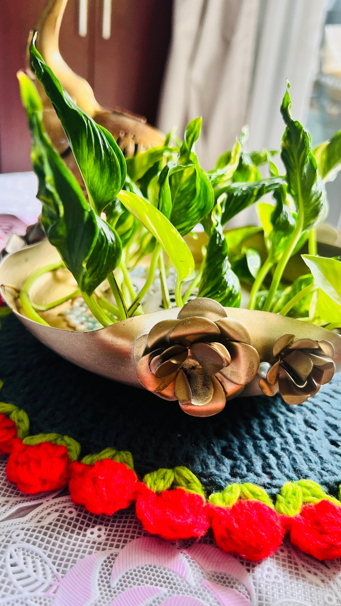 Make your home bloom ❤️