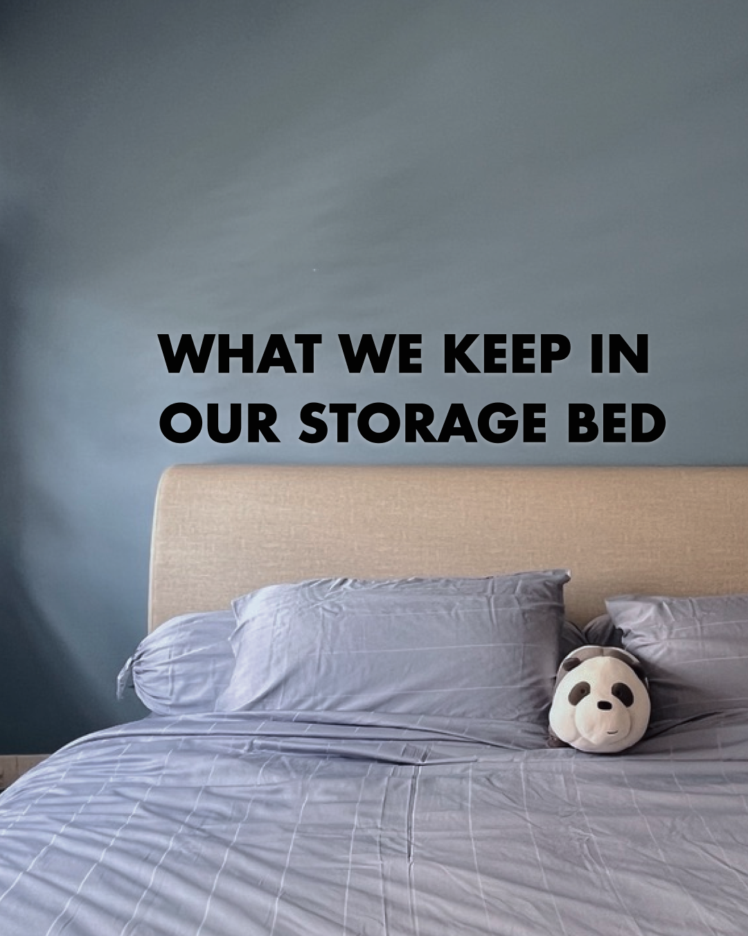 Skeletons-in-the-closet?-Nope,-they're-all-under-our-bed.-
