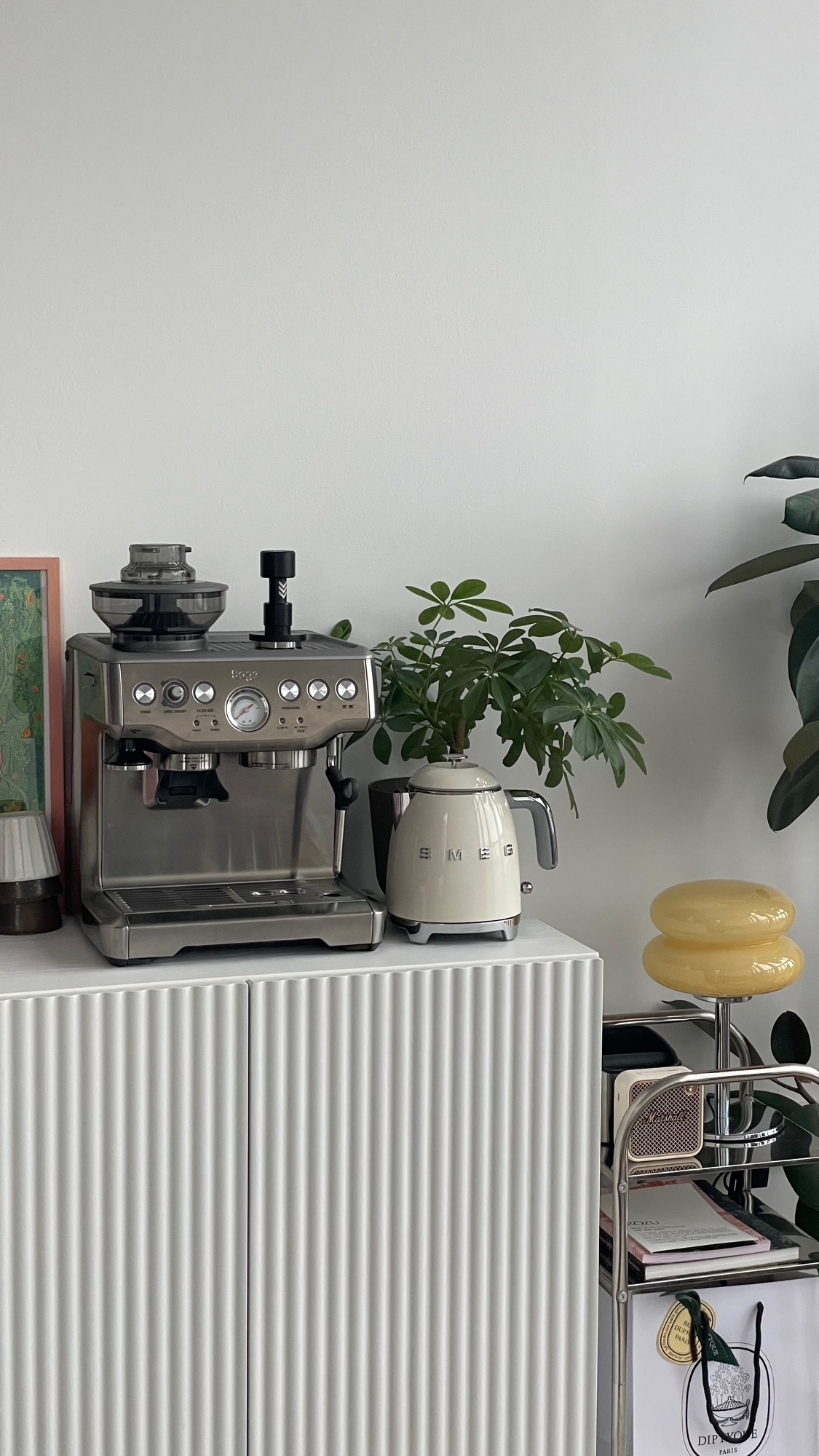 My-Top-HipVan-Picks-at-Home-🏠