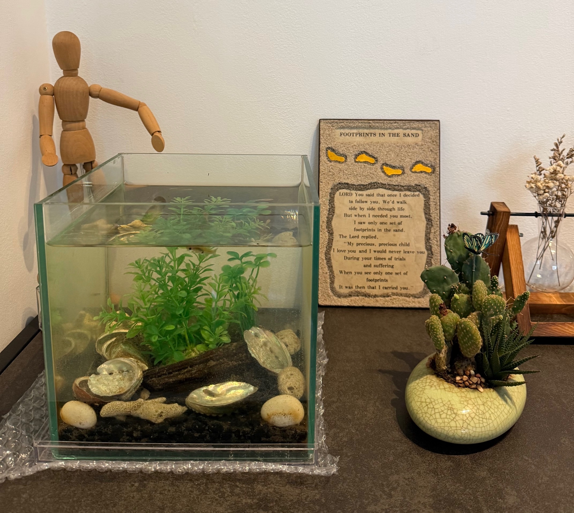 Making-use-of-small-spaces-with-greenery!-