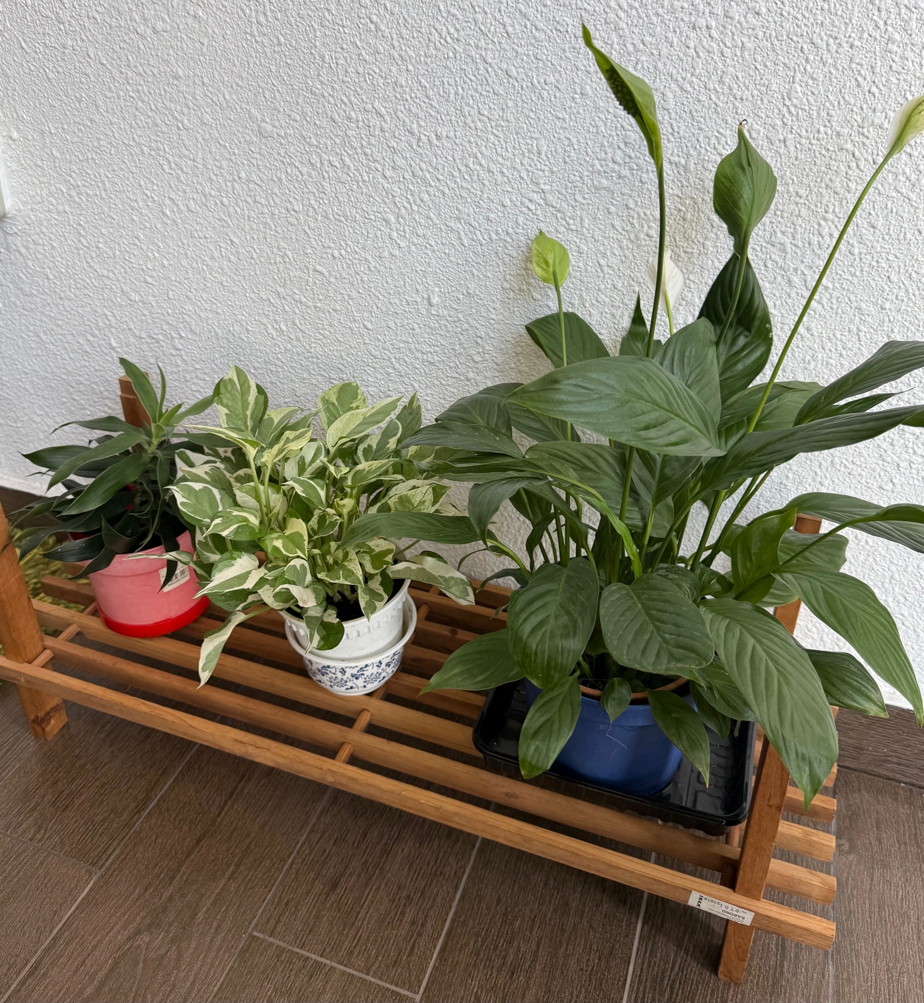 Making-use-of-small-spaces-with-greenery!-