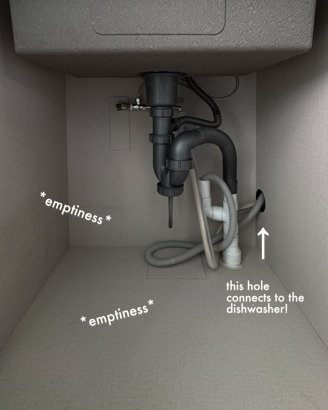 What do you keep under your kitchen sink?