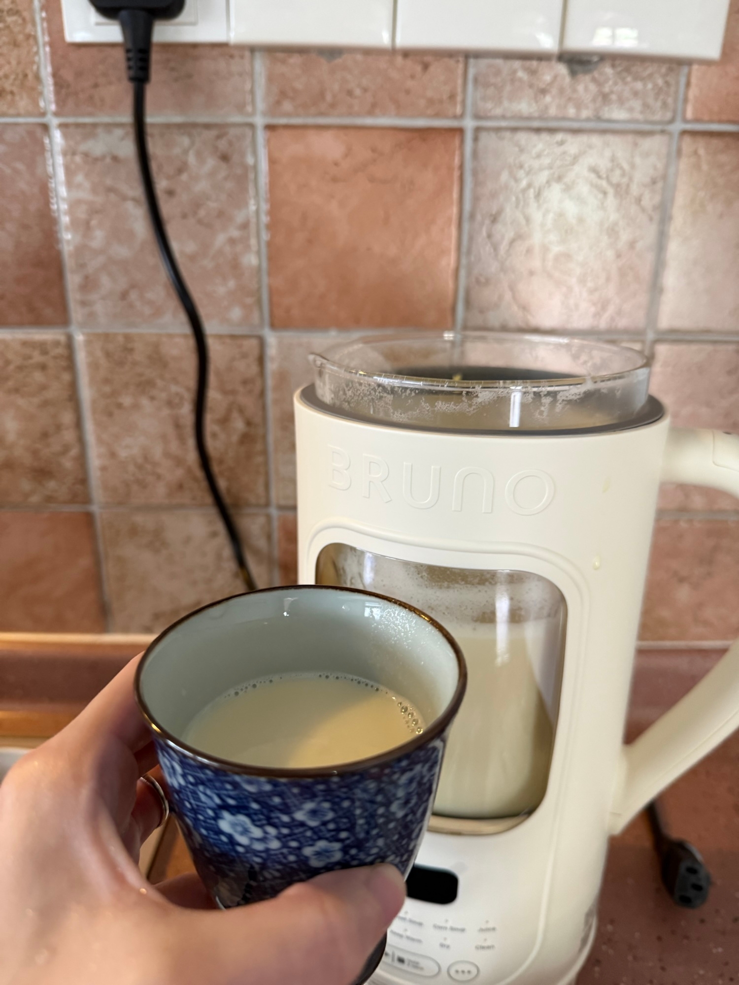 Looking for a machine to make Soymilk and Desserts?