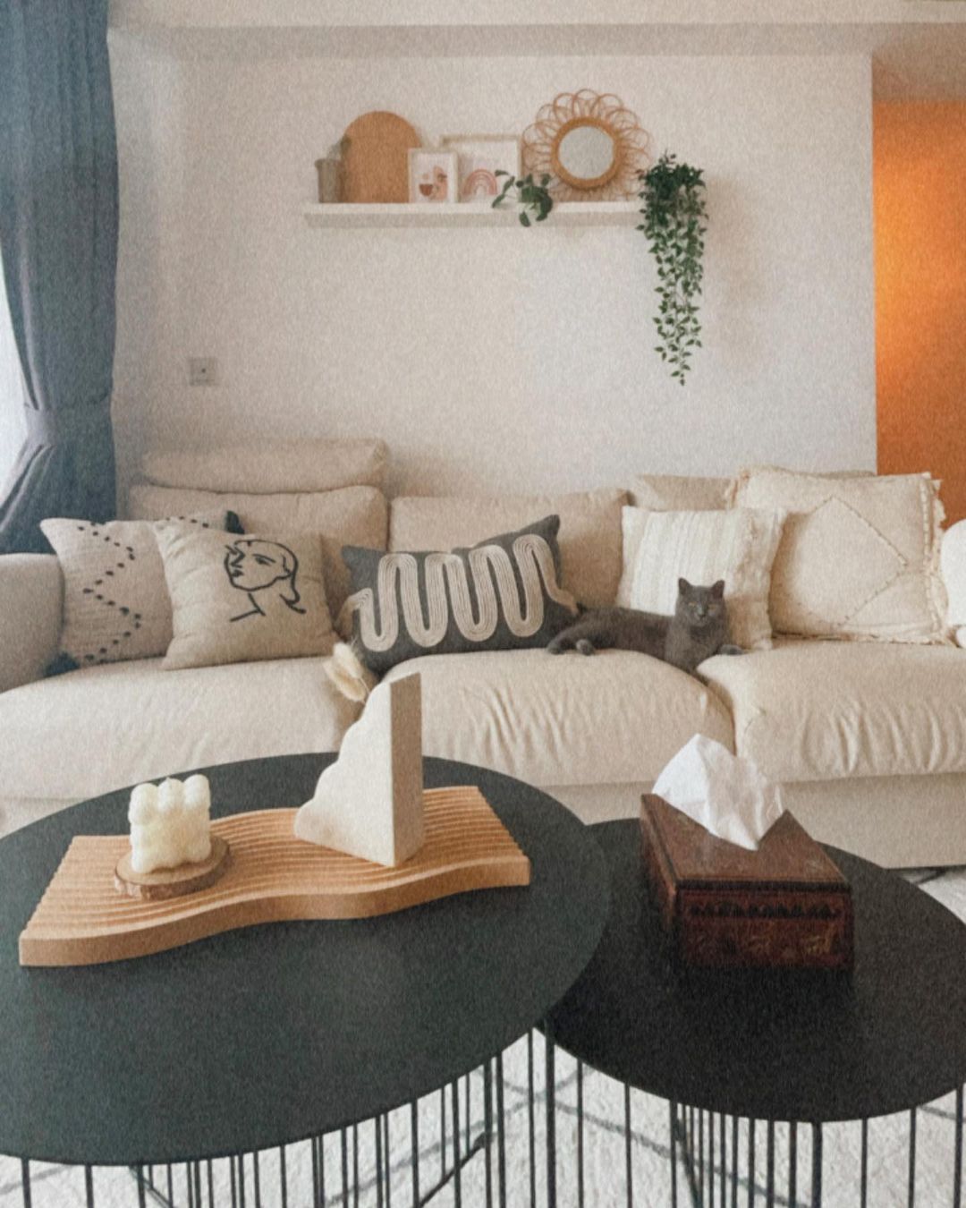 Urban oasis purr-fect for our cat! - Cream-colored sofa, cozy living room, modern decor, abstract art pillows, gray cat