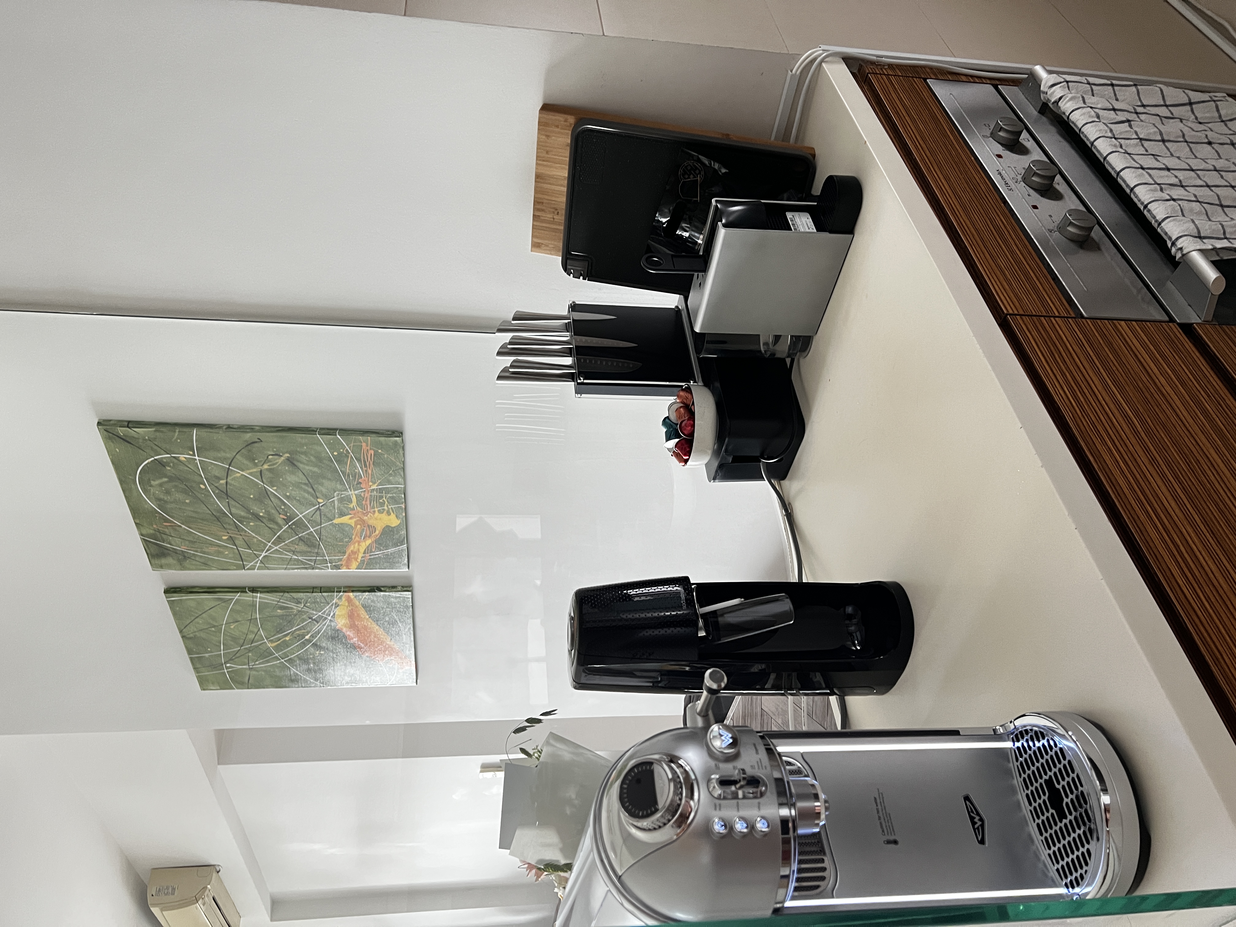 Welcome To Our Mid-Century Modern Condominium