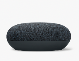 Google Nest Mini