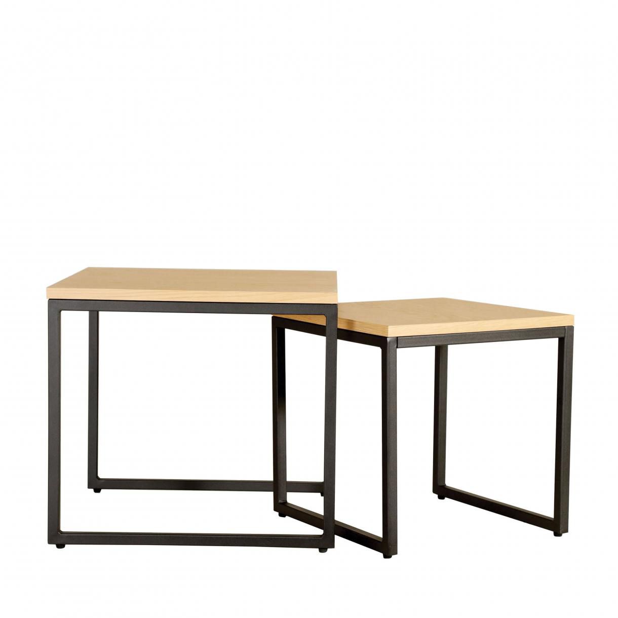Dina 2-in-1 Coffee Table (Nestable)