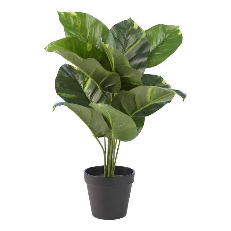 Artificial Dieffenbachia - Green