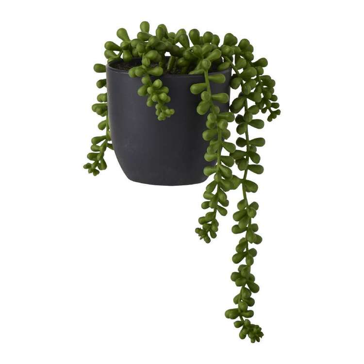 The Green Room Succulent Beans Potted Plant - Green, 10x11cm