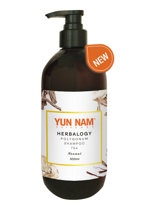 Herbalogy Polygonum Shampoo (Normal) 500ml [754S-0]