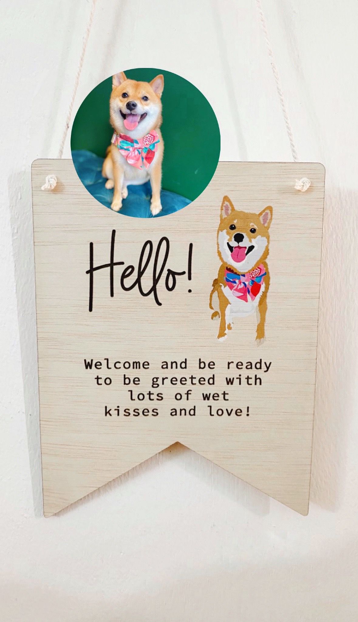 Pet Illustration Door Plaque (Wood) - Hexagon