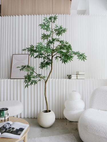 Faux Maple Tree Single Stem Bending (1.8M) in BERG Sphere Fibreglass Pot