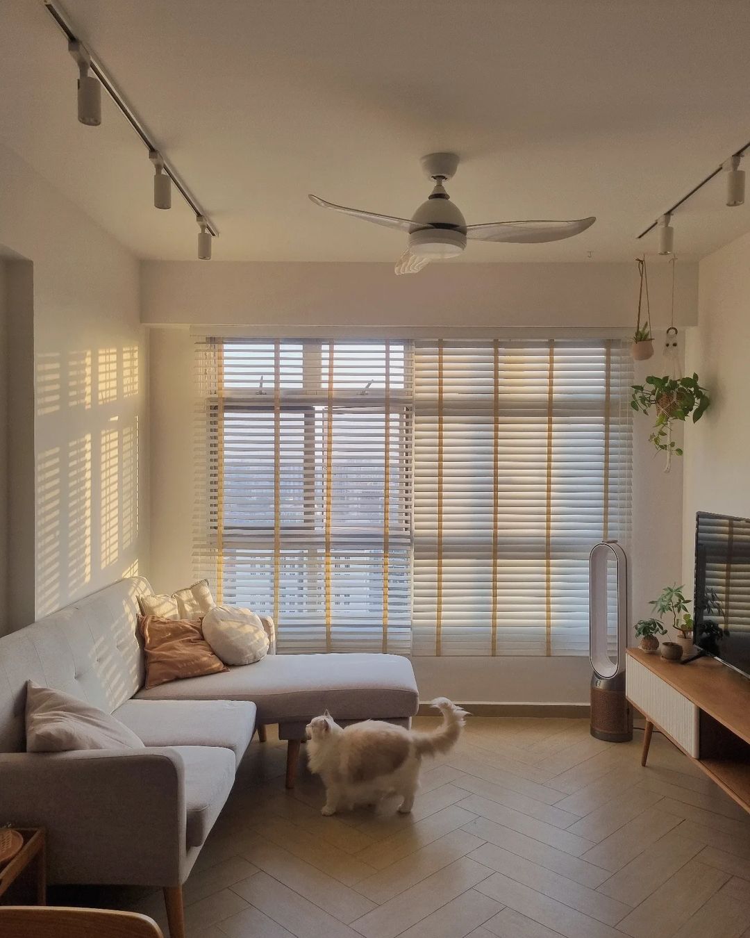 Scandinavian Serenity - Sunlit living room with modern design, comfortable sofa, soft cushions, large window with blinds