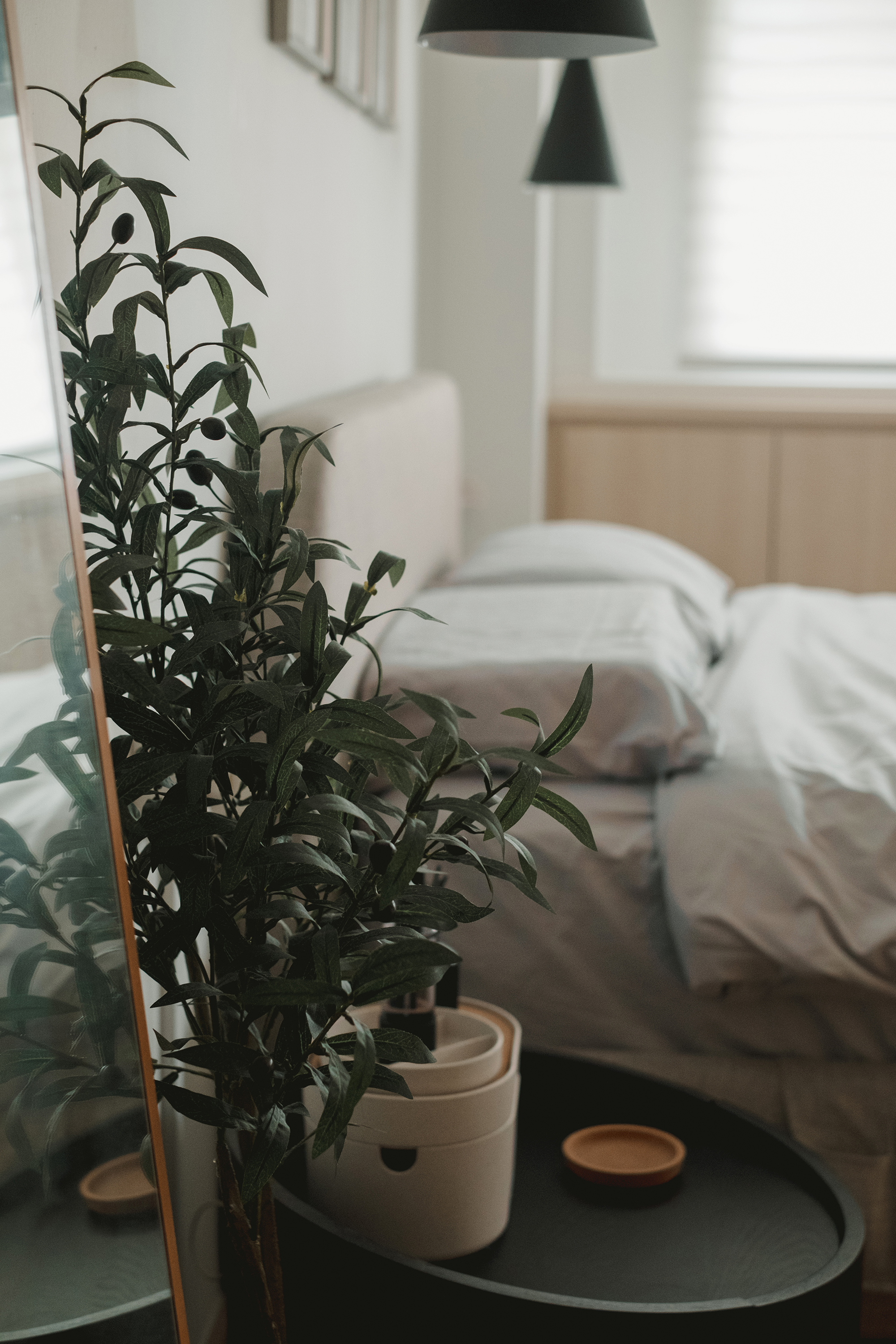 Chic Minimalist Mornings - Green plant with dark leaves, indoor setting, modern decor, softly lit room, bedside table, white