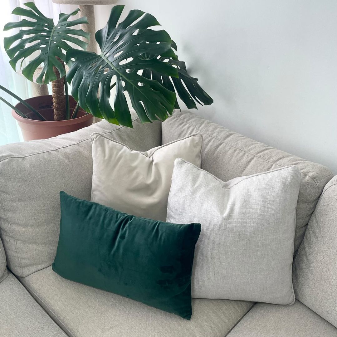 This home is the reflections of our likings - Light gray sofa, green and beige pillows, indoor plant, modern decor, cozy