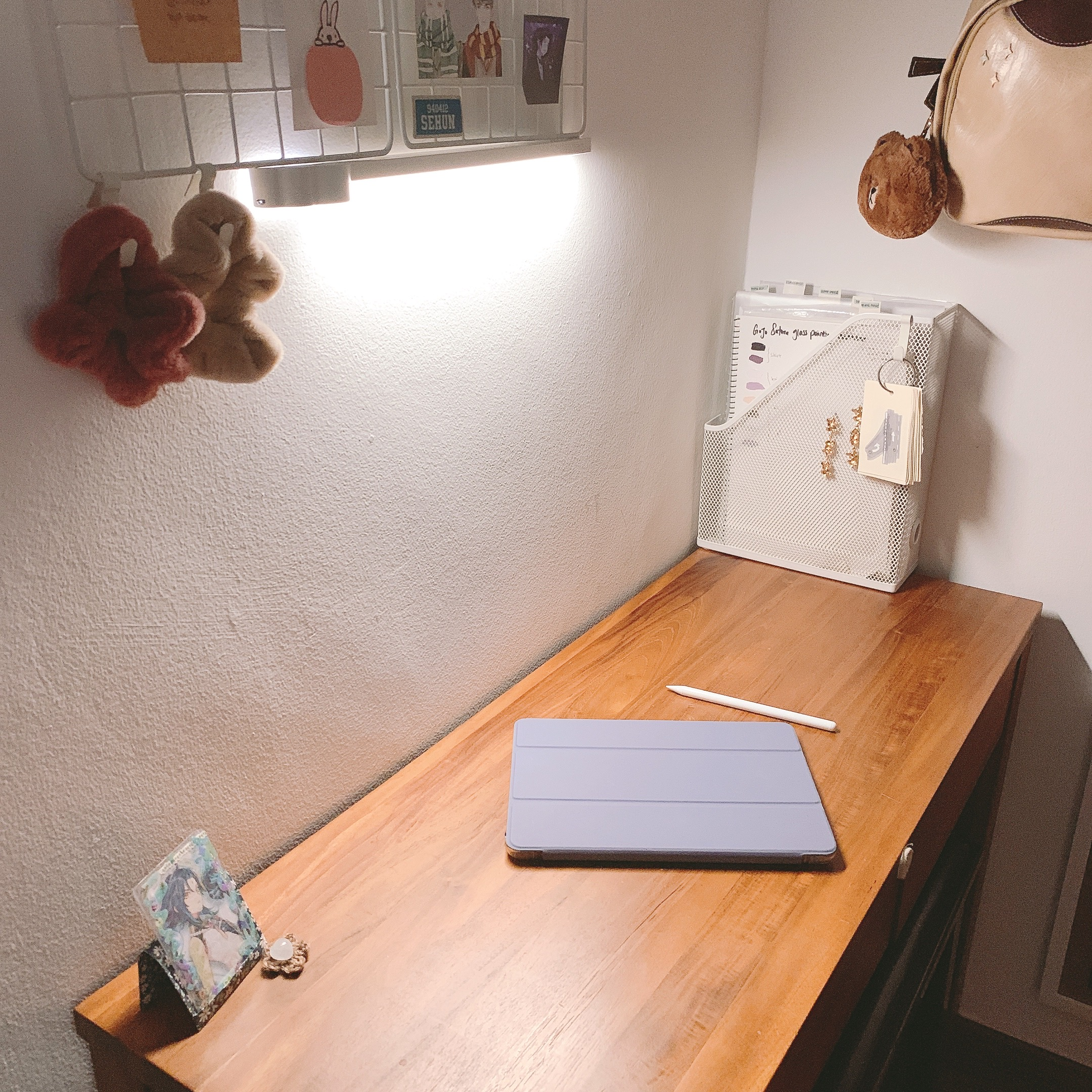 K-pop, Anime, Harry Potter - The Room that Has It All - Wall-mounted hooks, plush toys, bunny illustration, light fixture