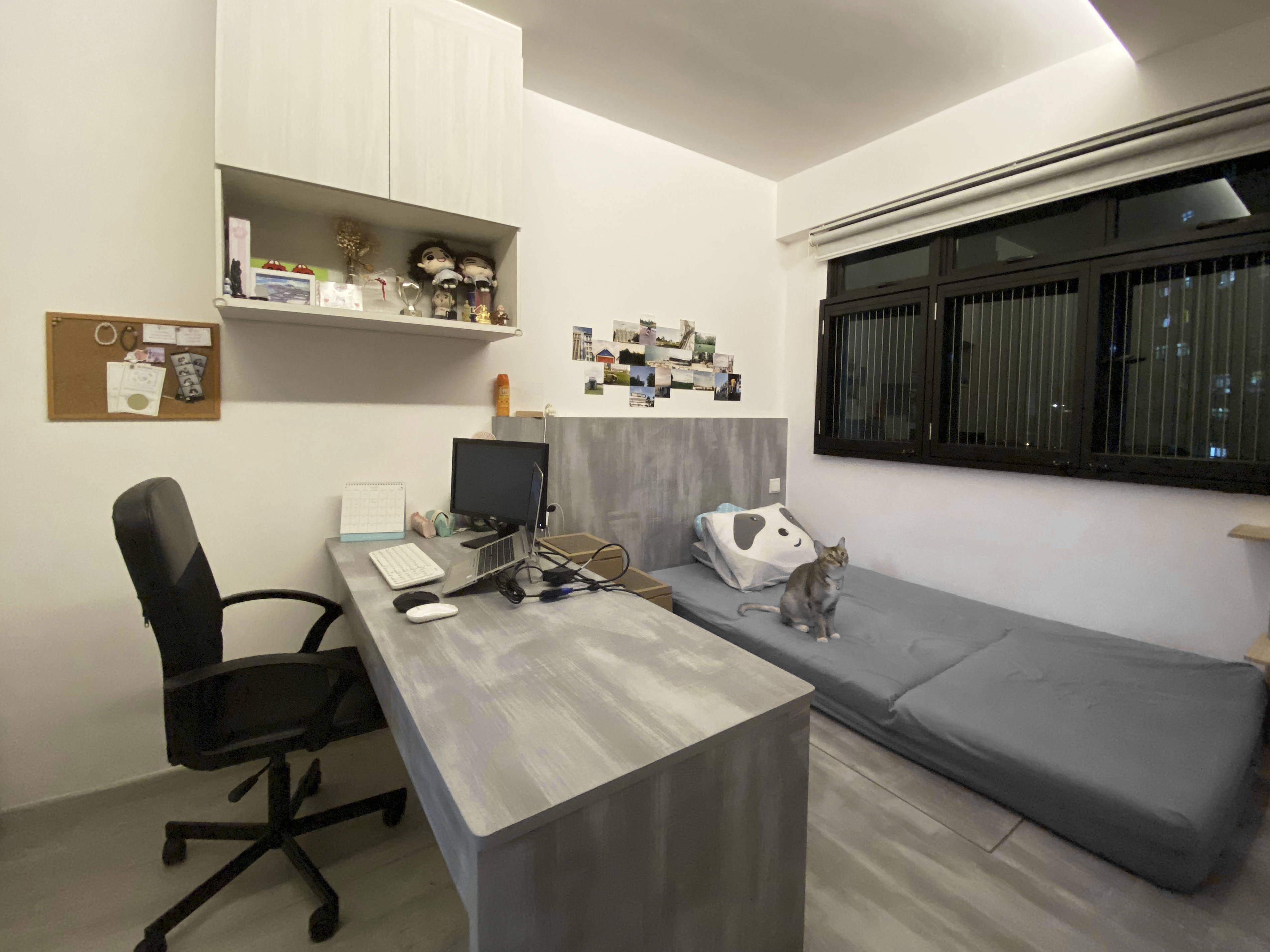 A Cat Lover's Room 🐱 - Office chair, desk, computer monitor, keyboard, mouse, calendar, photos, cat, bed, pillow, window