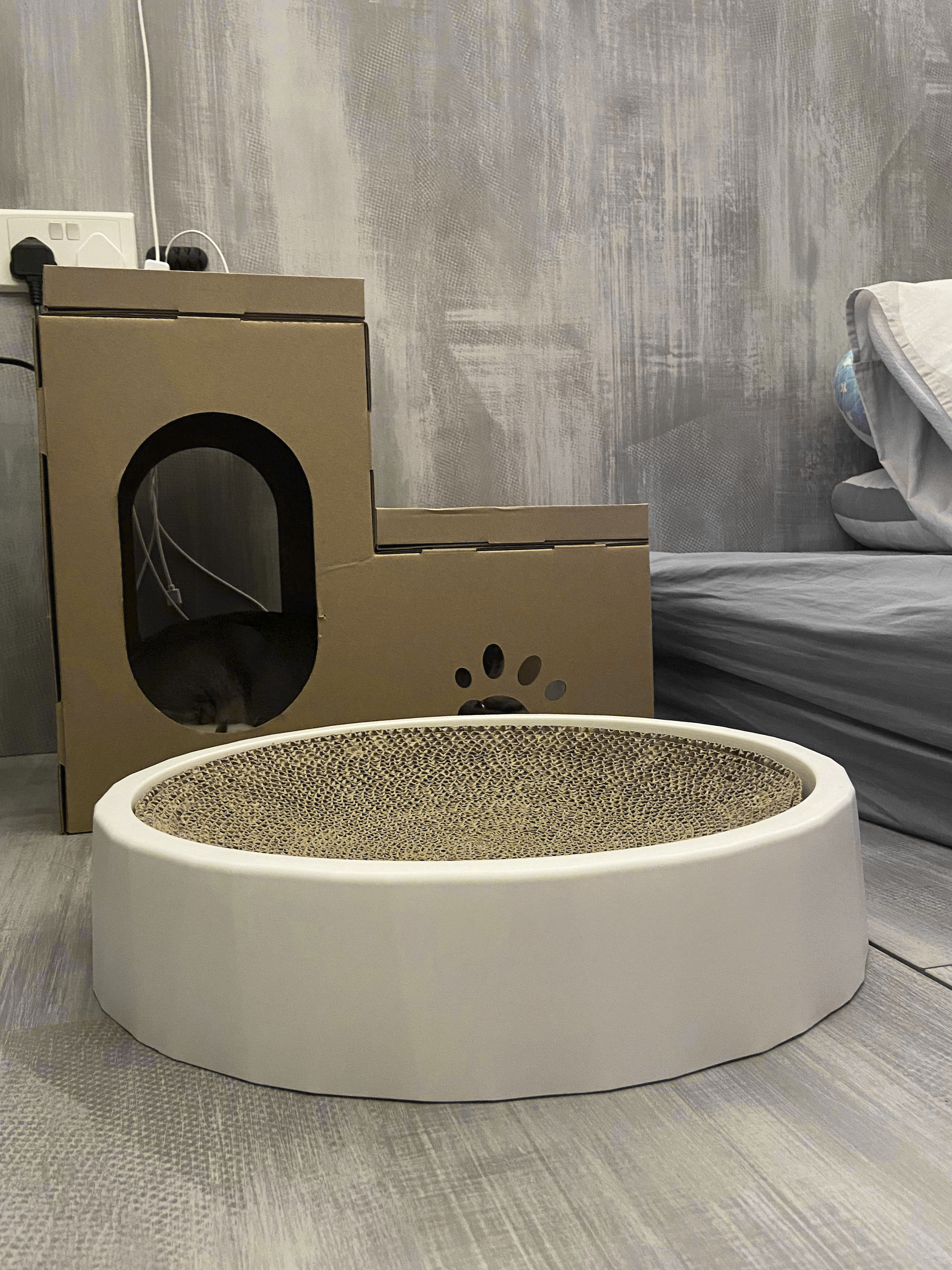 A Cat Lover's Room 🐱 - Cute cat peeking through cardboard enclosure, white circular pet bed, gray textured wall, gray and