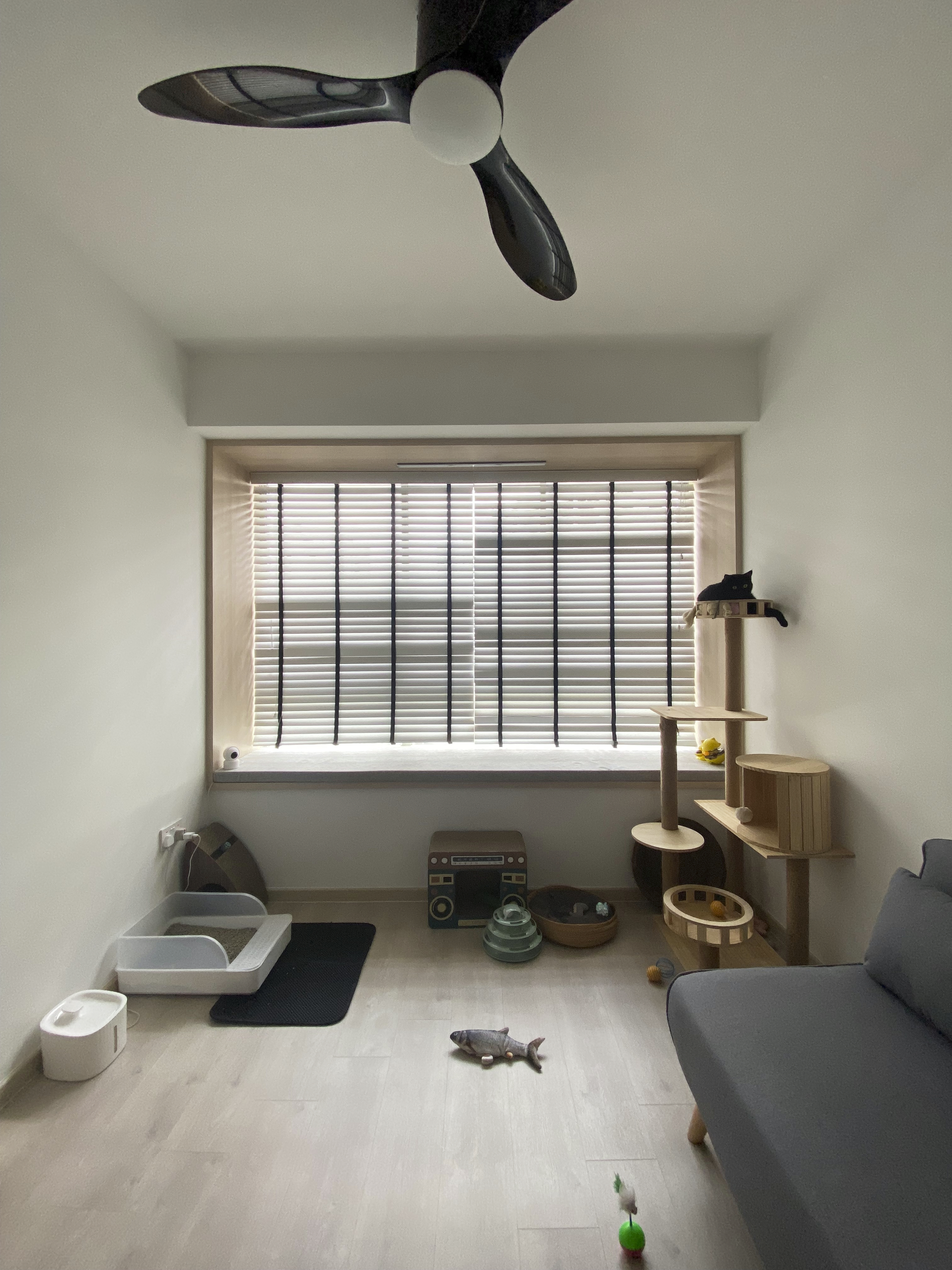 A-Minimalist-Apartment-with-an-Urban-Jungle