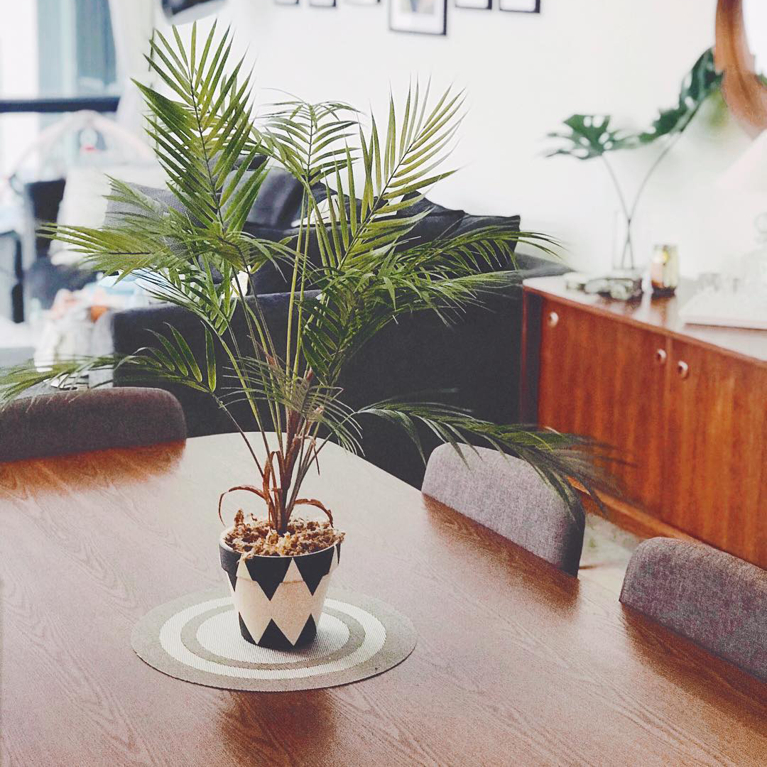 Customer home photo 2: Specially curated centre piece for our Scandi home