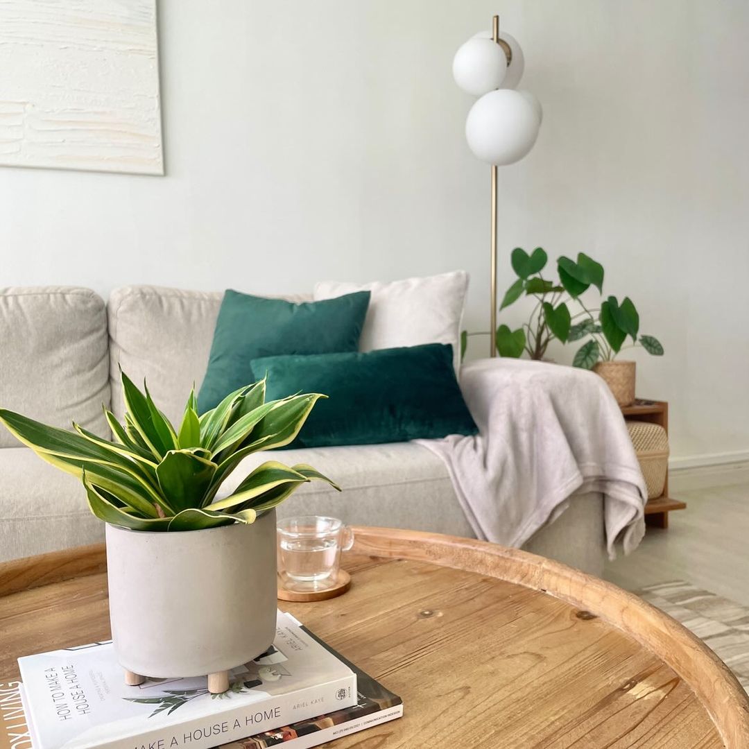 This home is the reflections of our likings - modern living room, cozy furniture, white and green decor, minimalist design