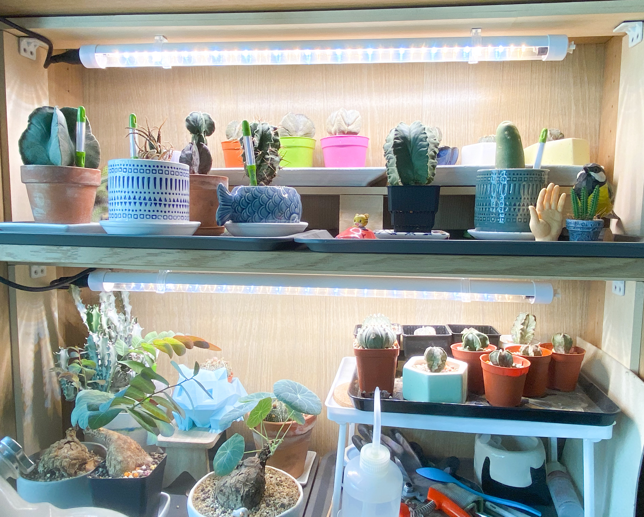 The Eccentricity of an Artistic Couple’s Apartment