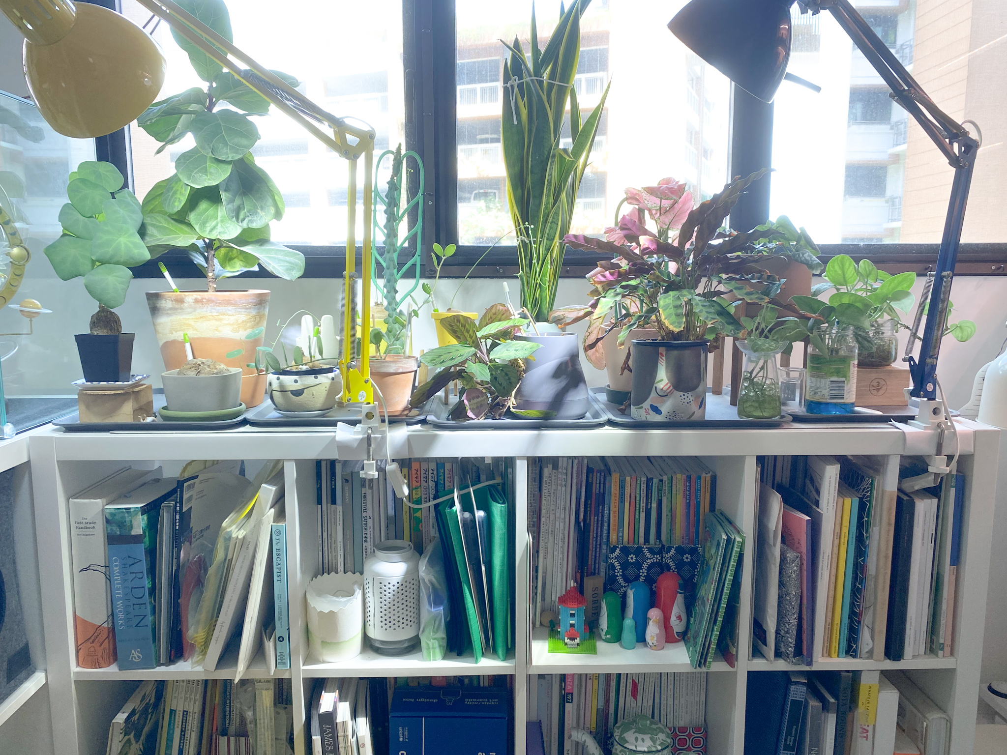 The Eccentricity of an Artistic Couple’s Apartment - Sunlight streaming through window, indoor plants, yellow desk lamp