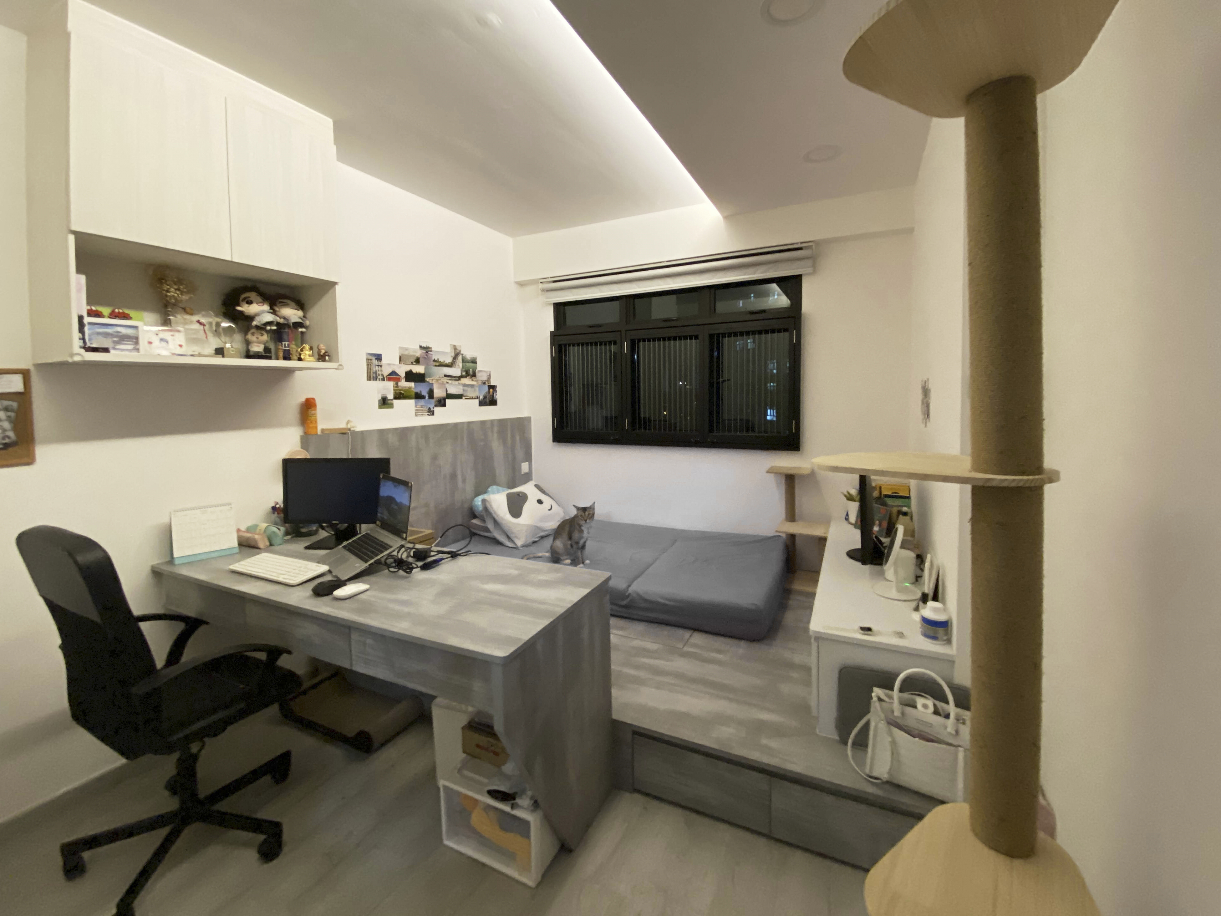 A Cat Lover's Room 🐱 - Modern home office with ergonomic chair, desk, computer, keyboard, mouse, cat sitting on bed, wall