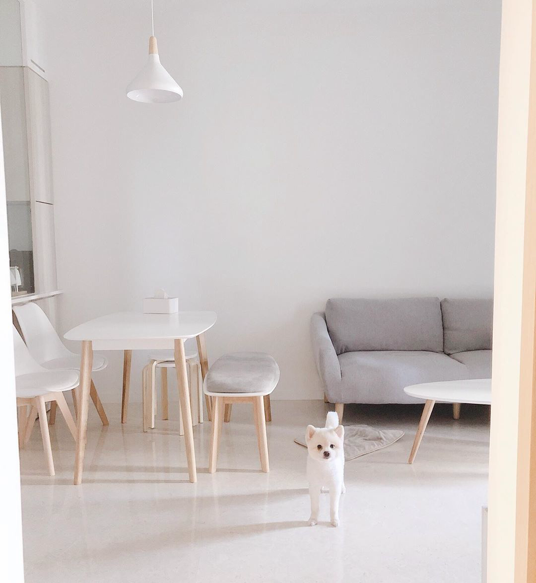 Minimalistic living room in greys and whites - Minimalist dining room, modern furniture, white walls, cozy atmosphere, small
