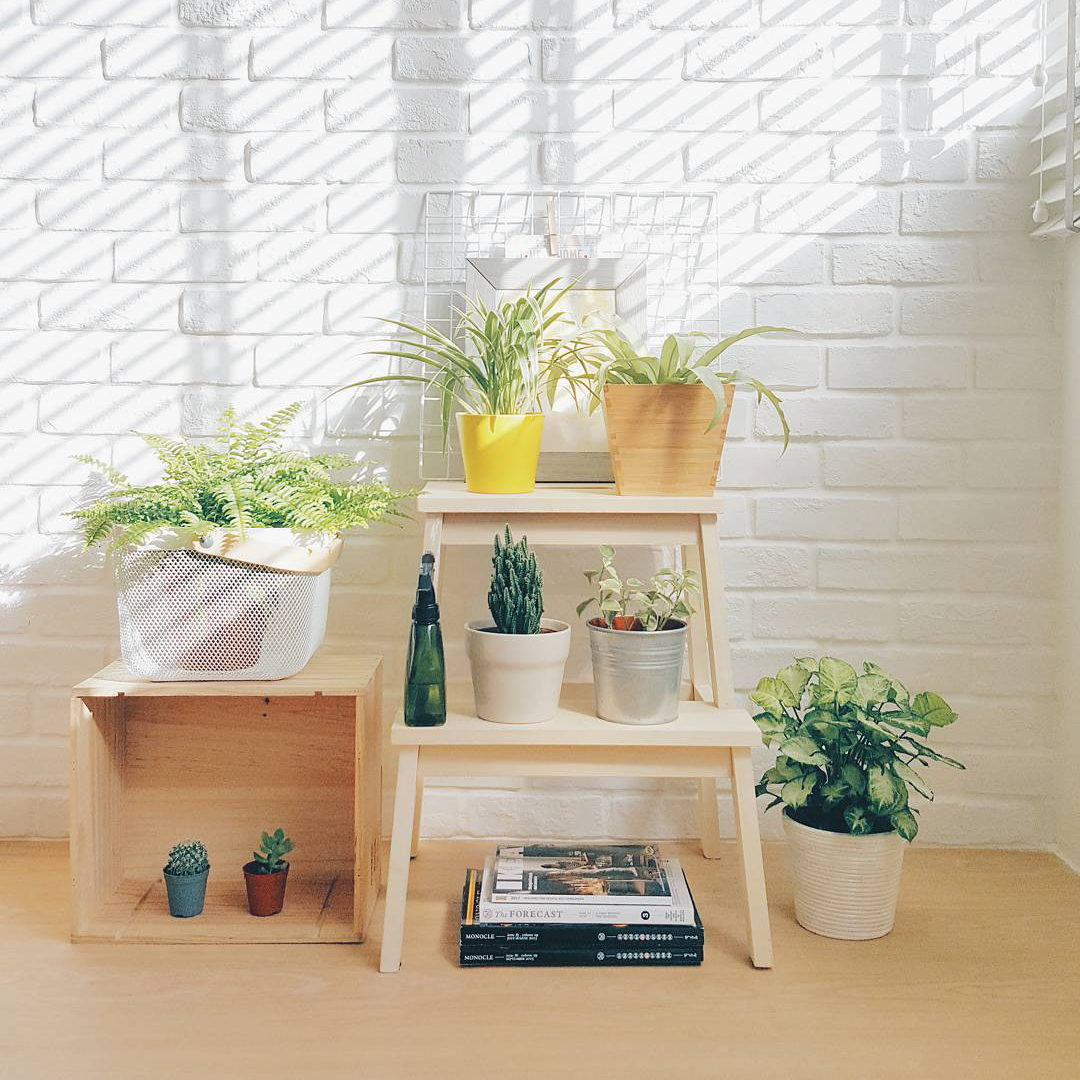 Customer home photo 5: frolicfo's Post