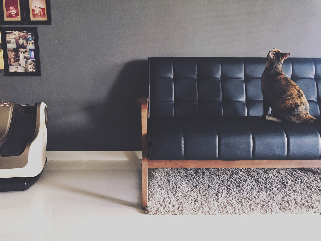 Customer home photo 5: fig_gig's Post