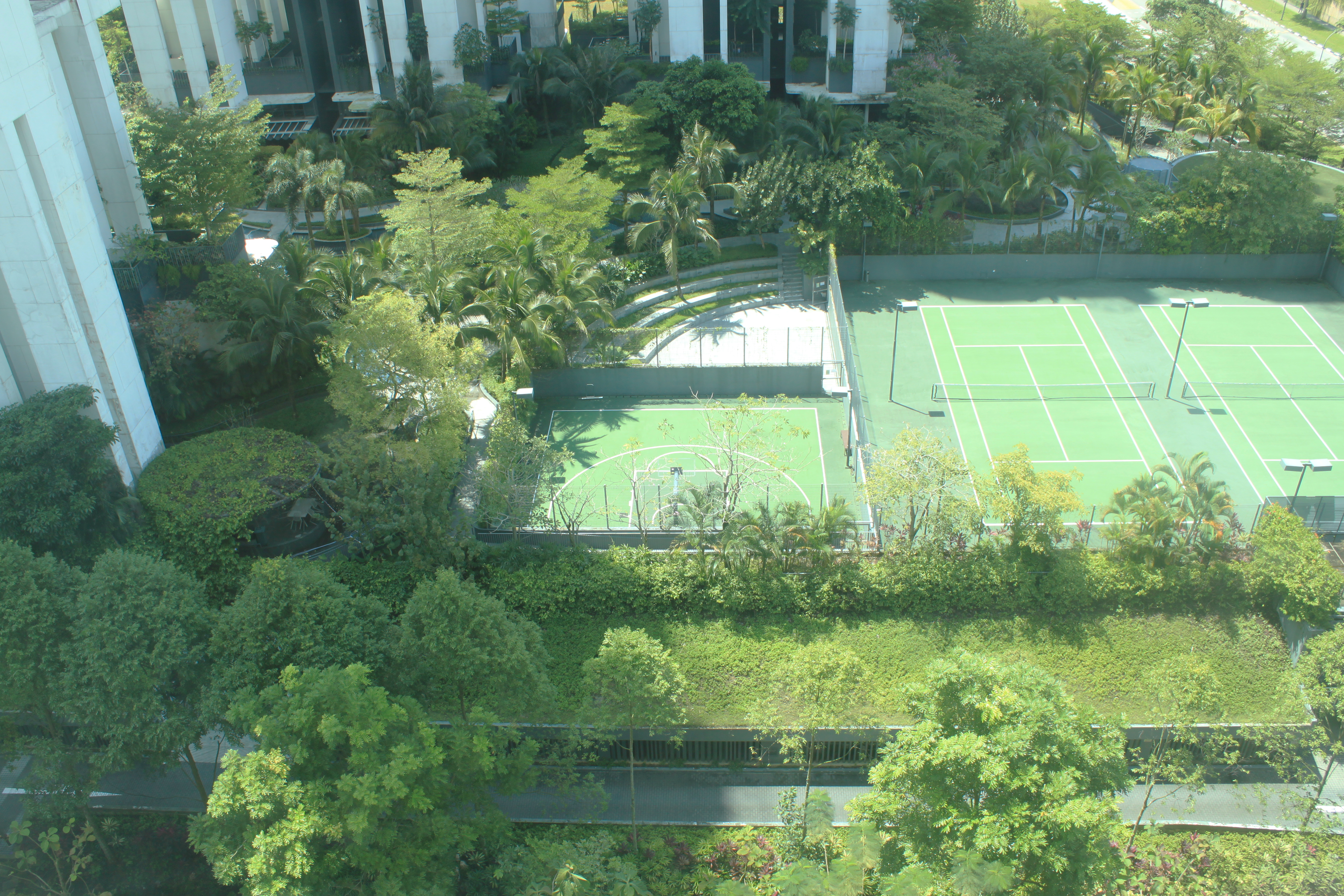 My Home Away From Home - Tennis court surrounded by lush greenery, tall palm trees, modern building facade, aerial view