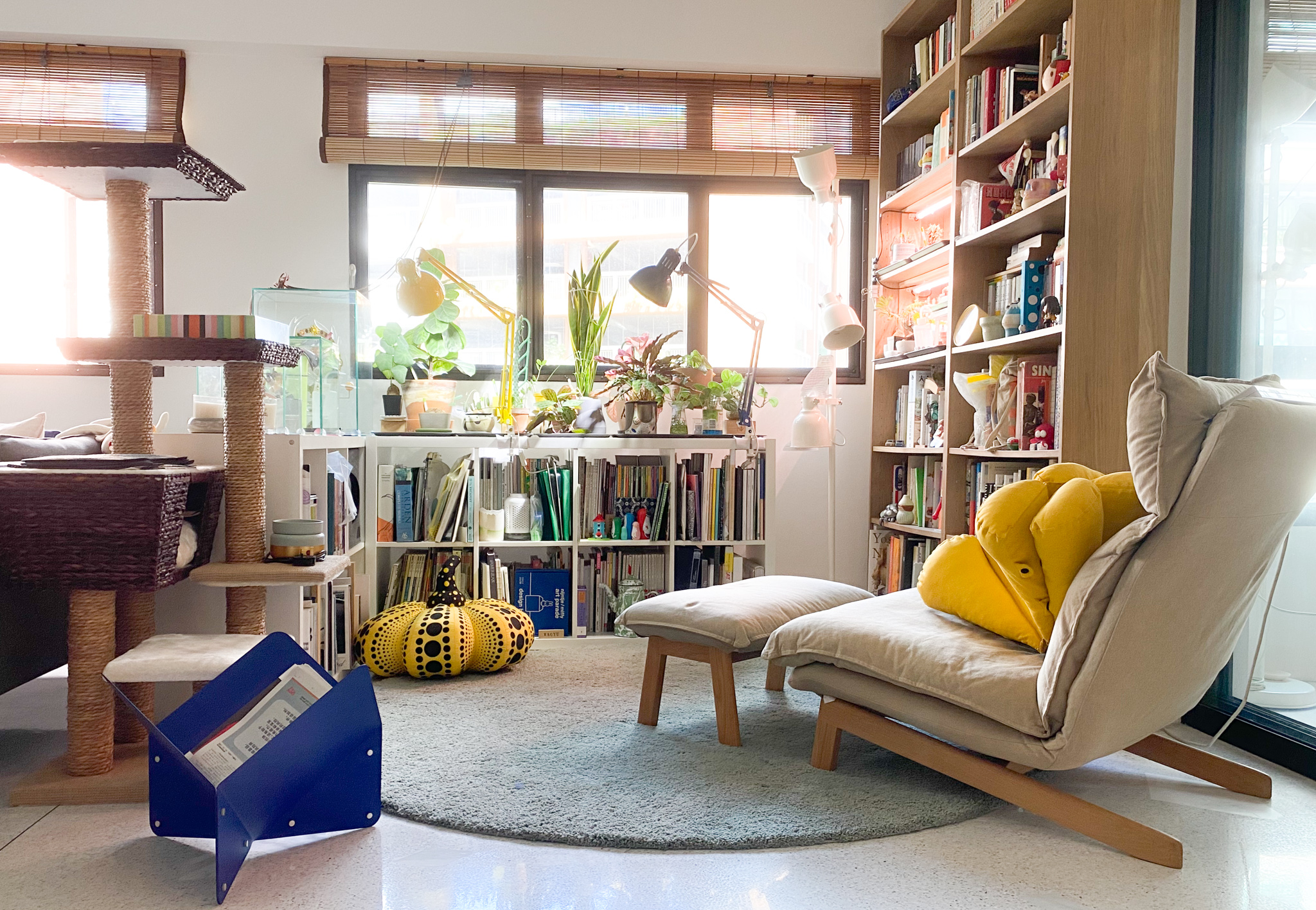 The Eccentricity of an Artistic Couple’s Apartment - Cat tree, indoor garden, indoor plants, indoor cat, indoor cat tree