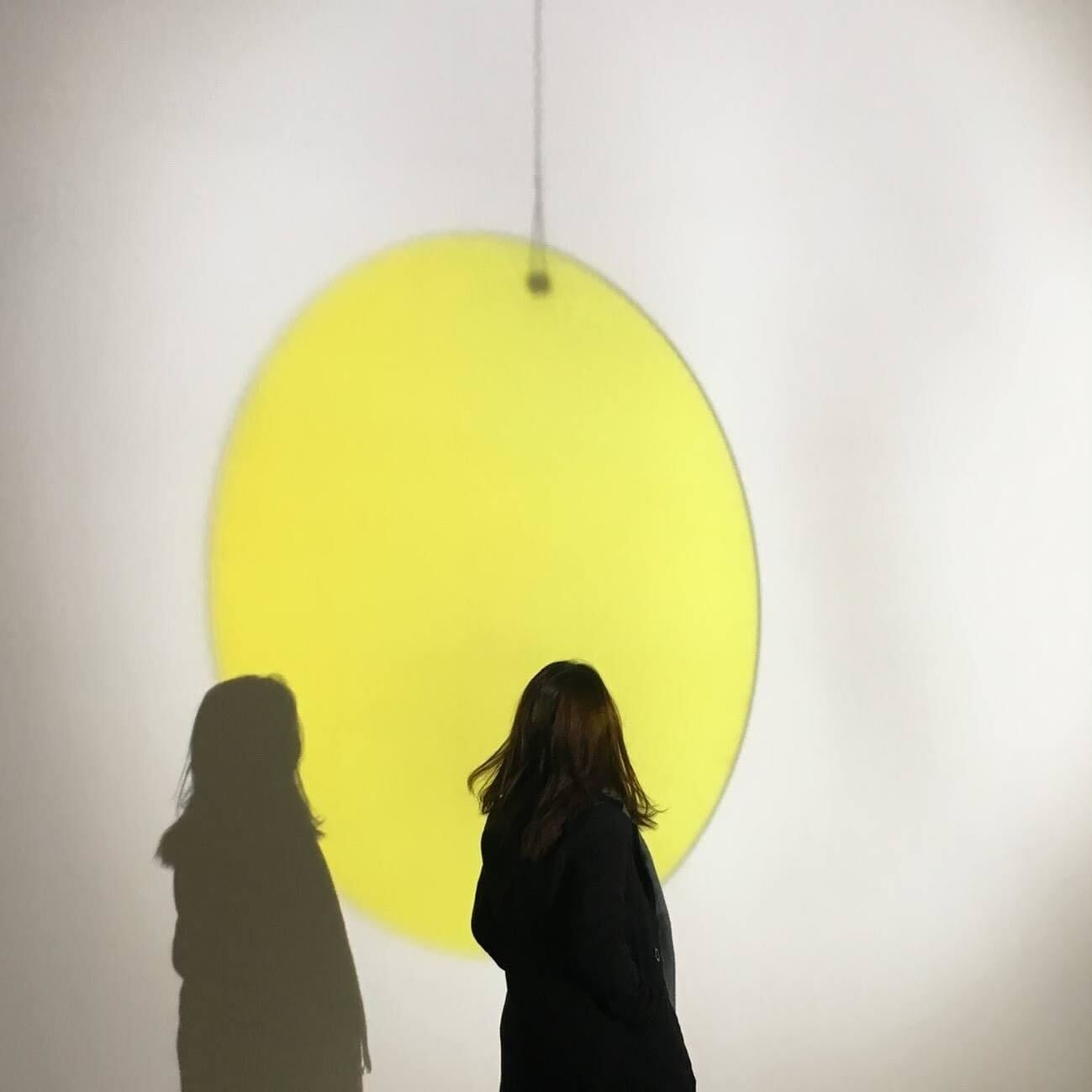 A Minimalist Apartment with an Urban Jungle - Yellow circle, shadow, person, silhouette, art installation, light, bright