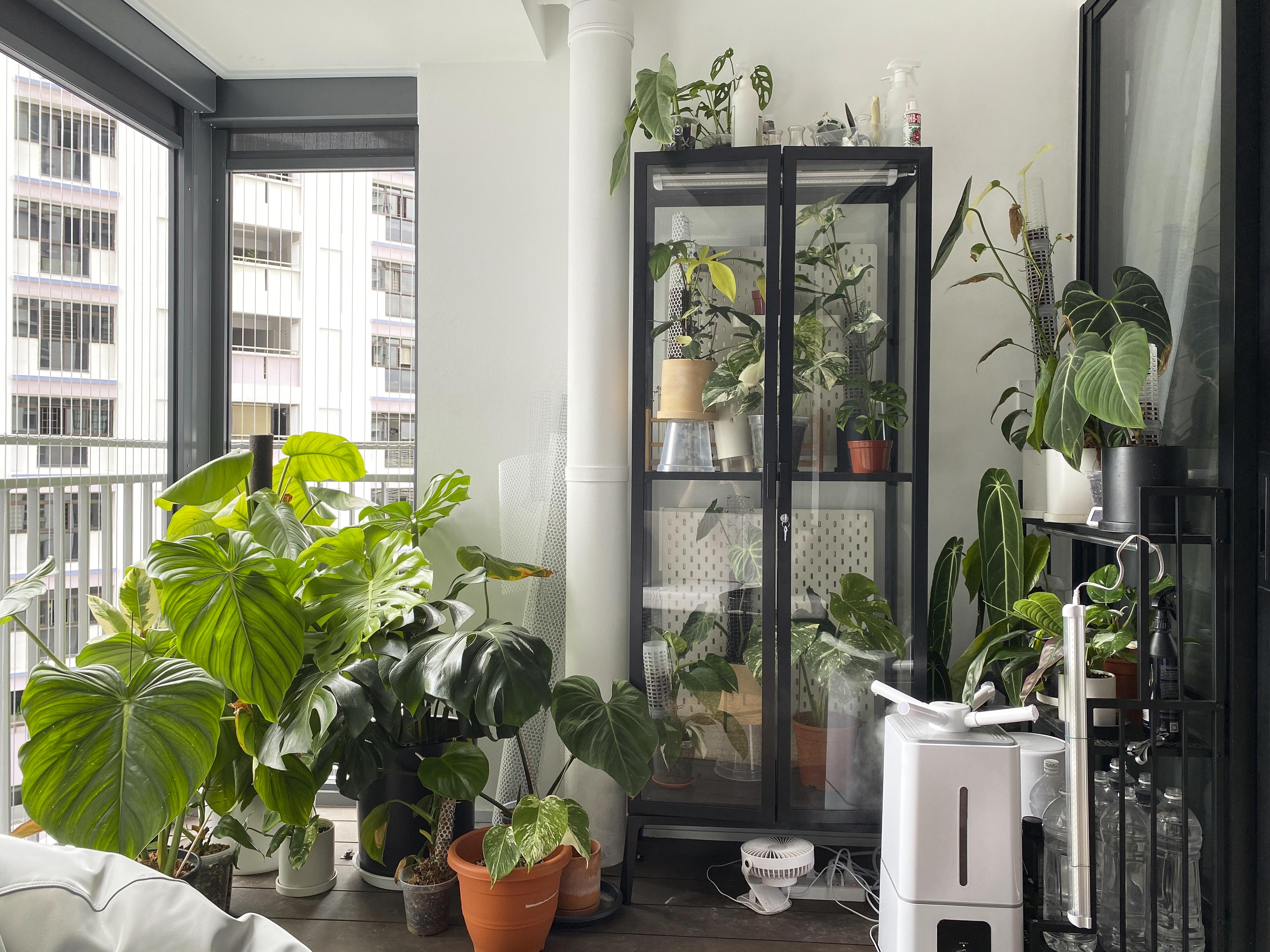 A Minimalist Apartment with an Urban Jungle - Large green plants, indoor setting, multi-plant arrangement, indoor garden