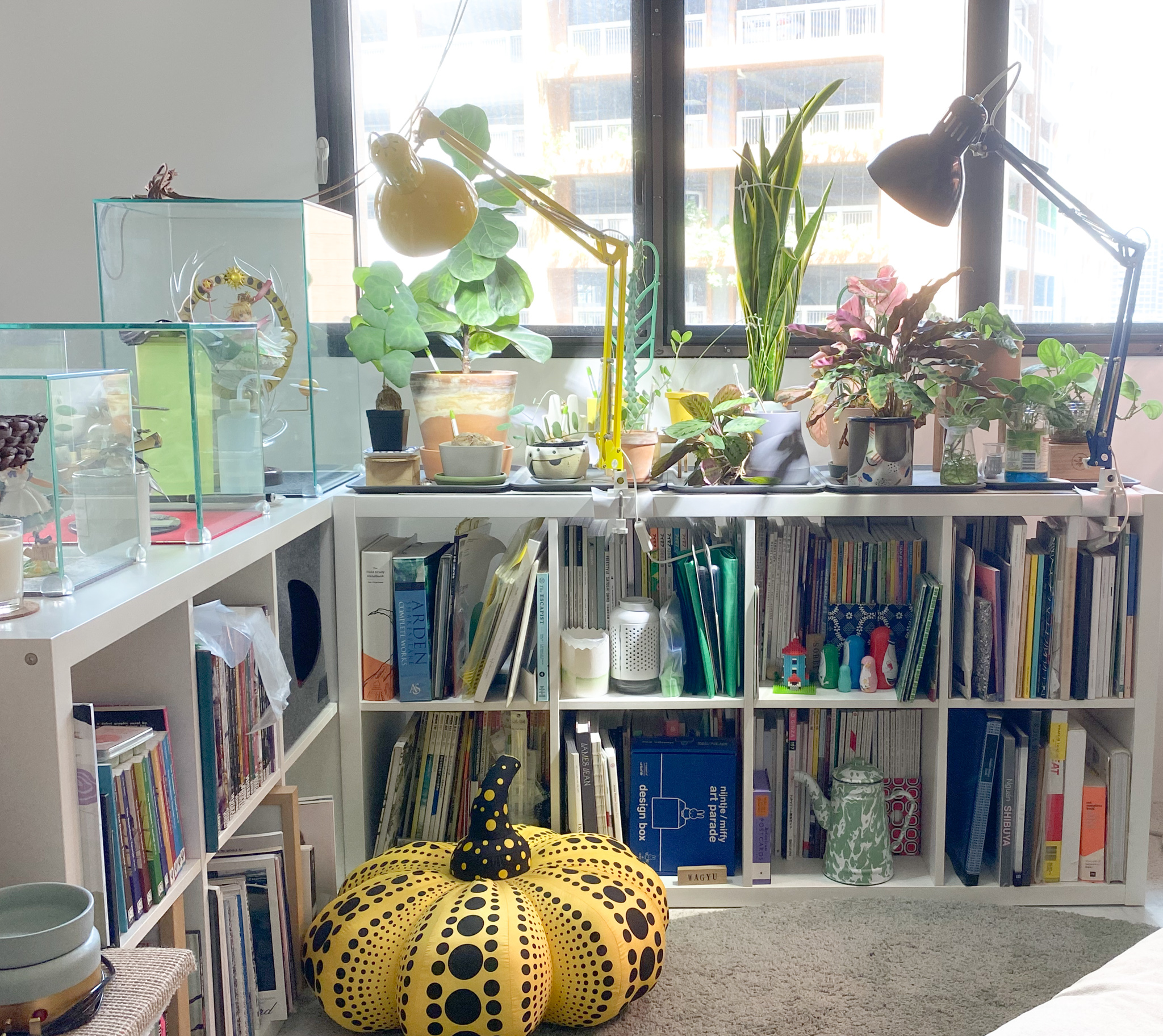 The Eccentricity of an Artistic Couple’s Apartment - yellow polka dot pumpkins, indoor plants, bookshelf, indoor garden