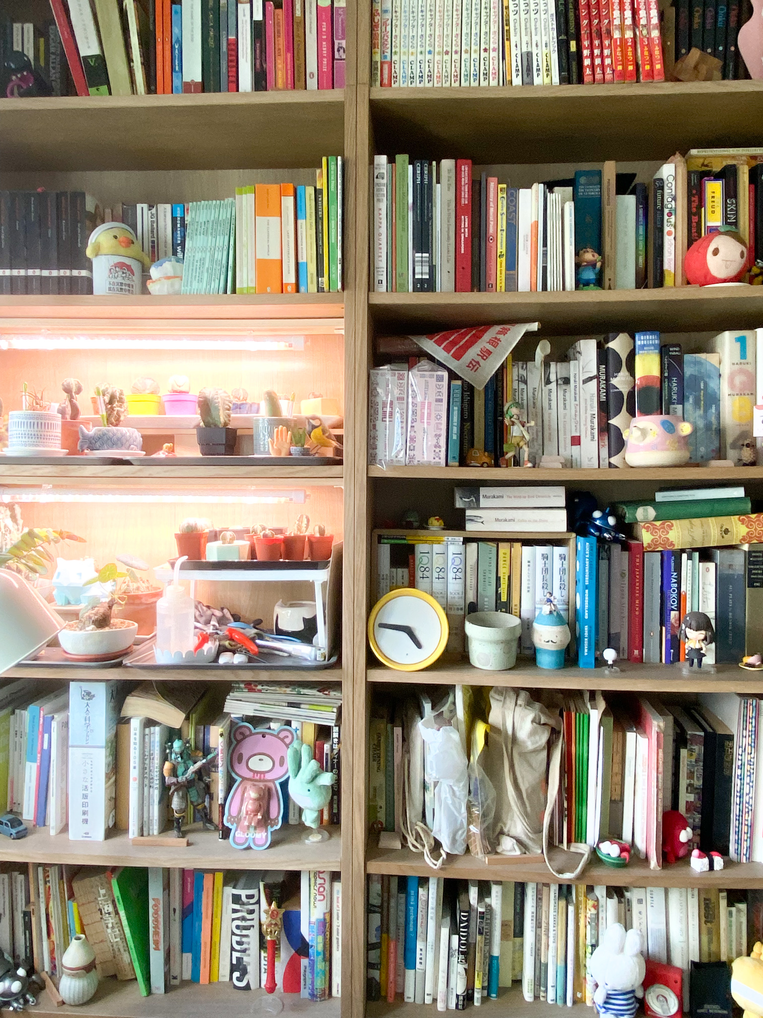 The Eccentricity of an Artistic Couple’s Apartment - Wooden bookshelf, colorful books, various figurines, potted plants