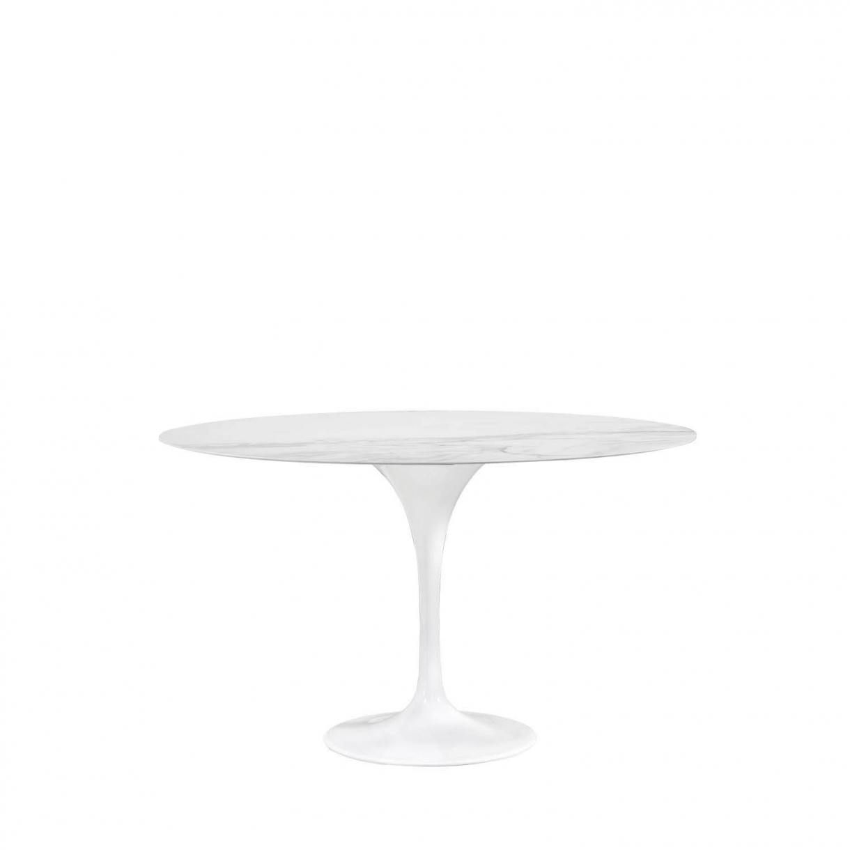 Sintered Tulip Dining Table